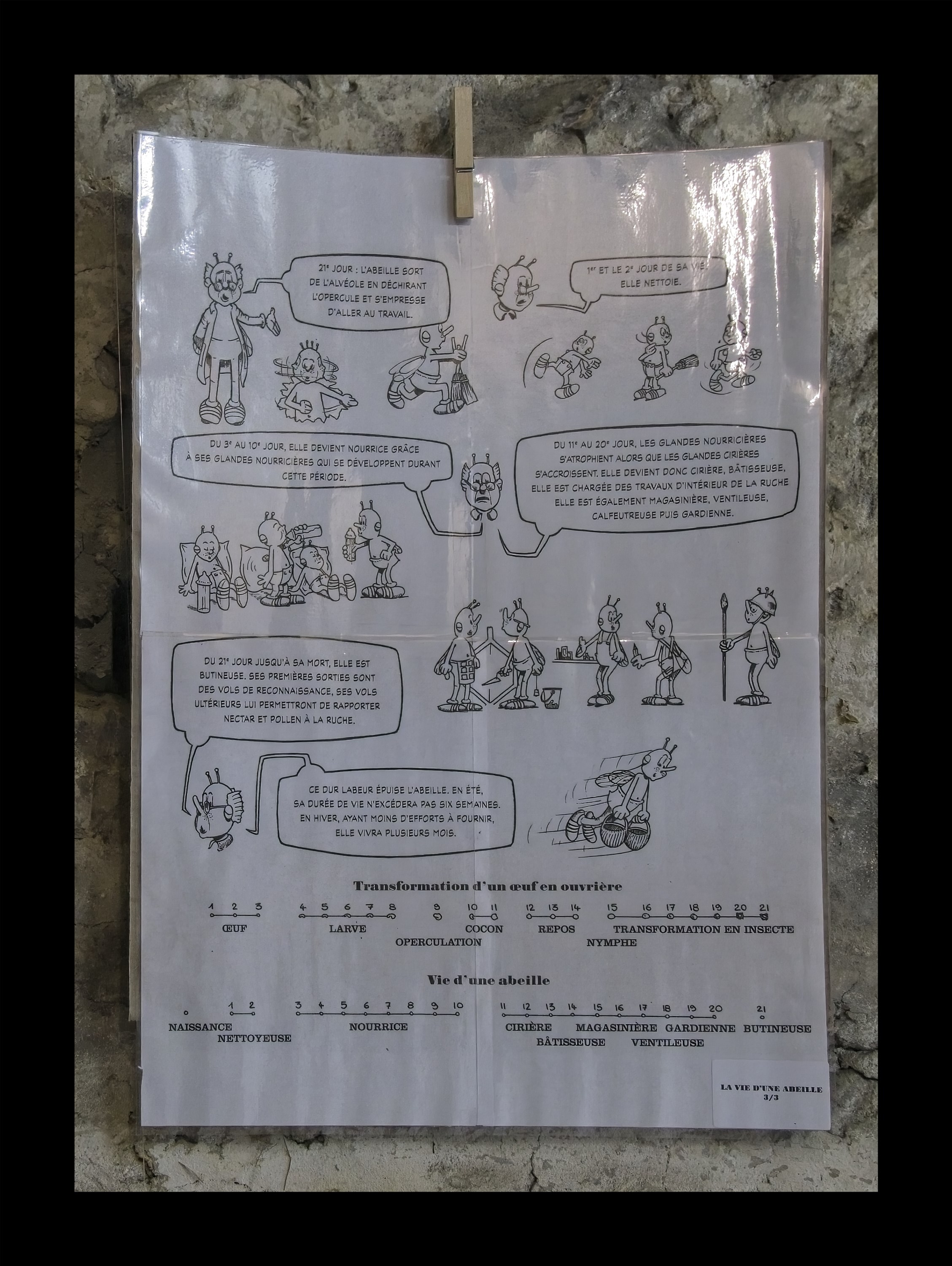 Visite du Rucher de Cantiers