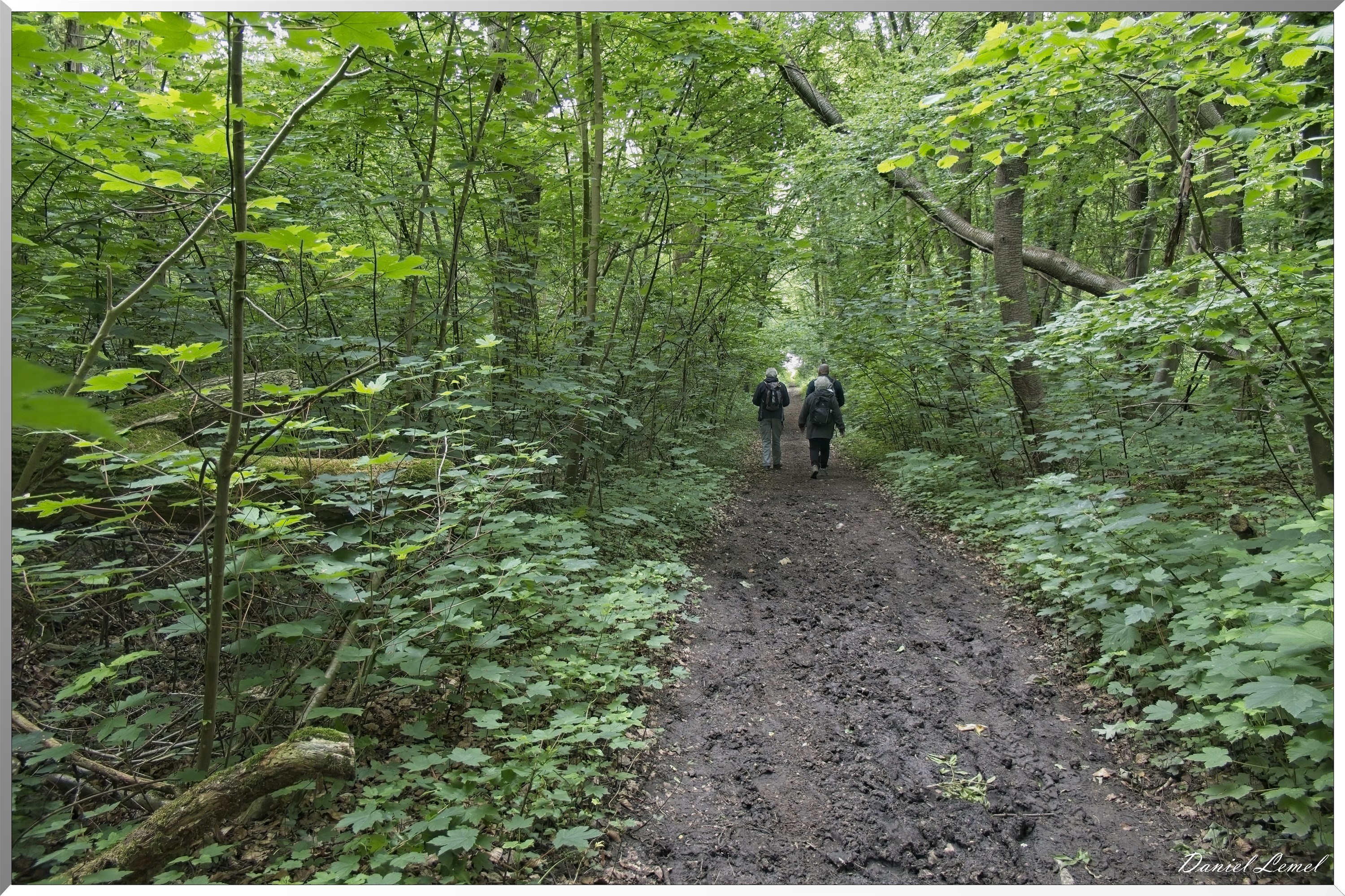 Saint-Etienne-sous-Bailleul
