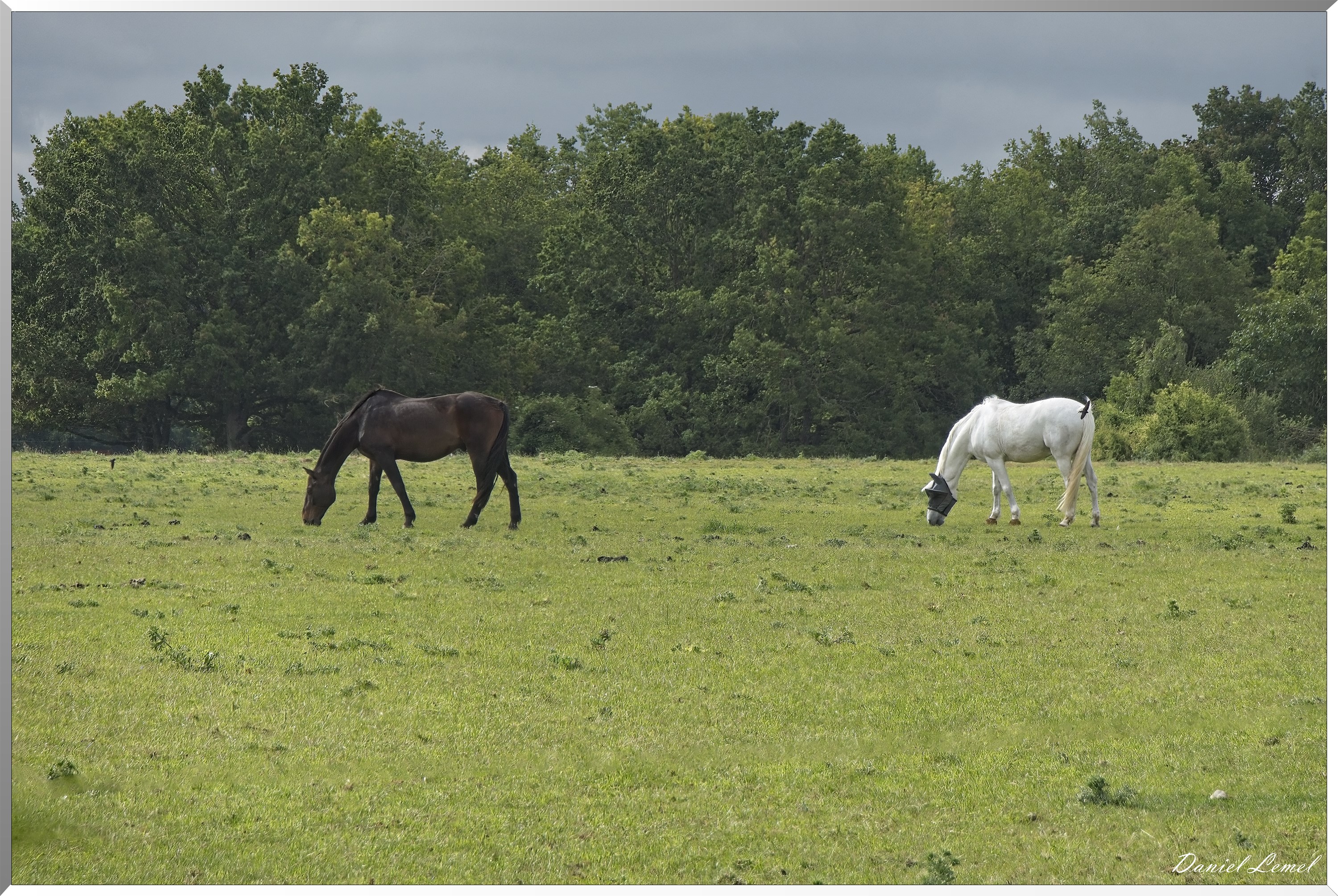 Saint-Etienne-sous-Bailleul