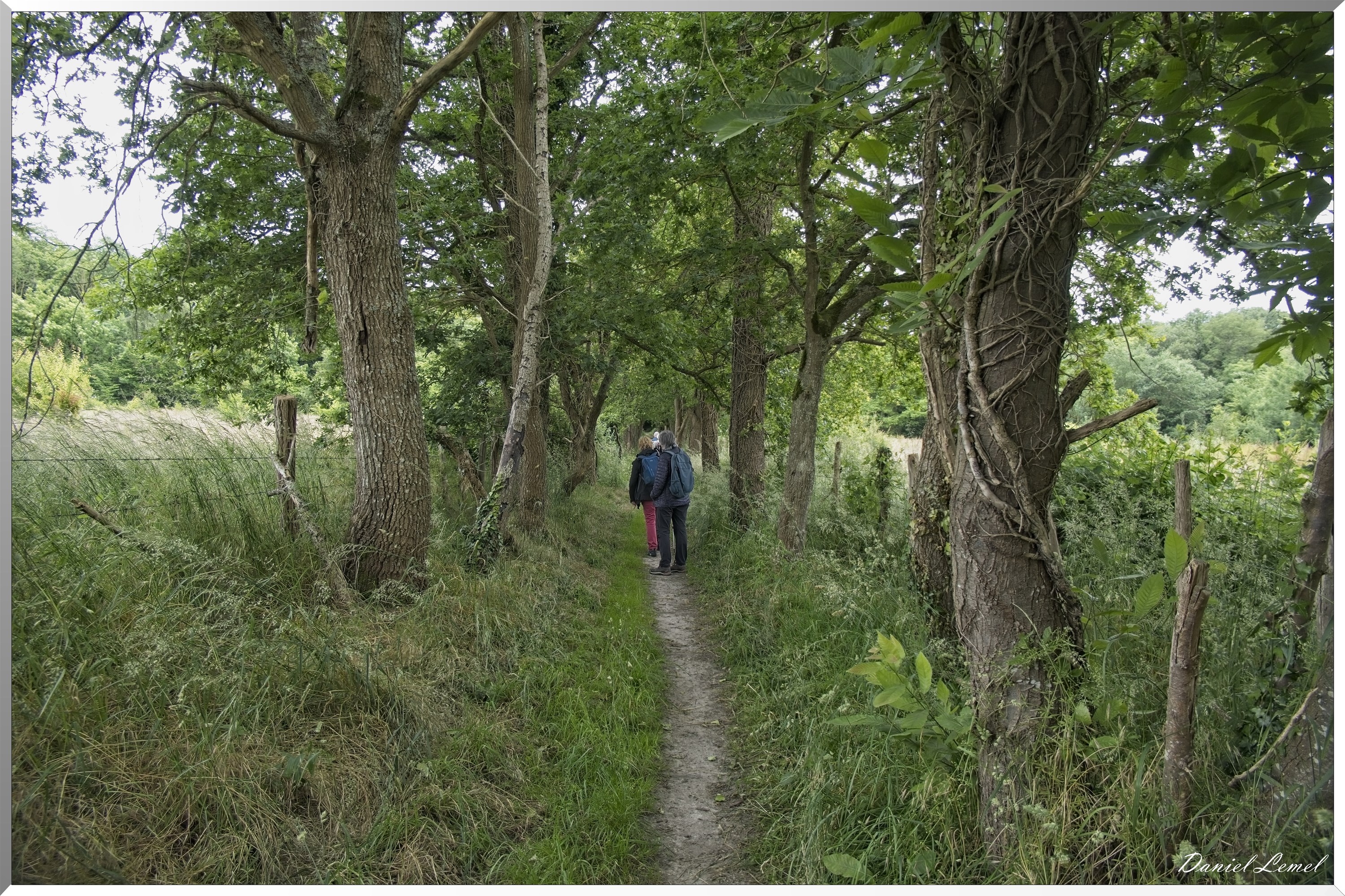 Saint-Etienne-sous-Bailleul