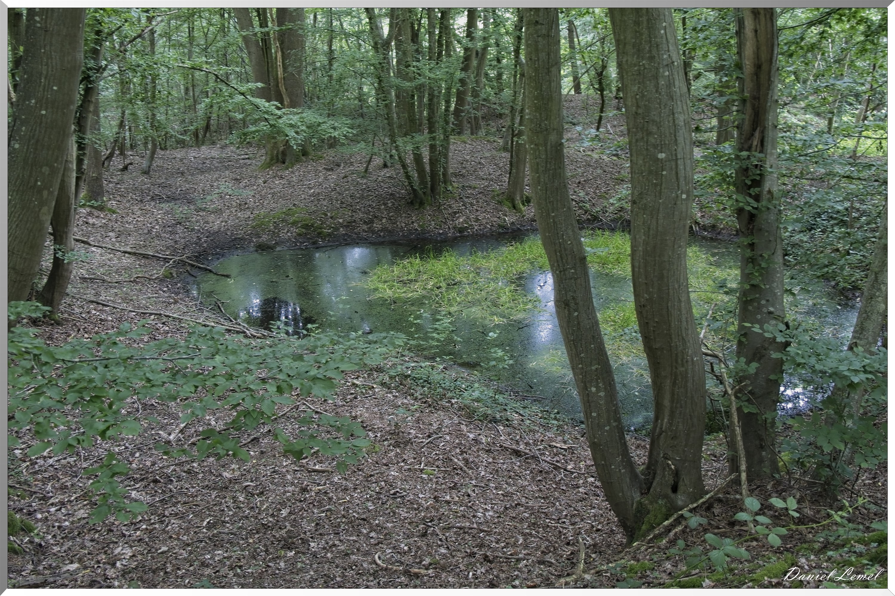 Saint-Etienne-sous-Bailleul