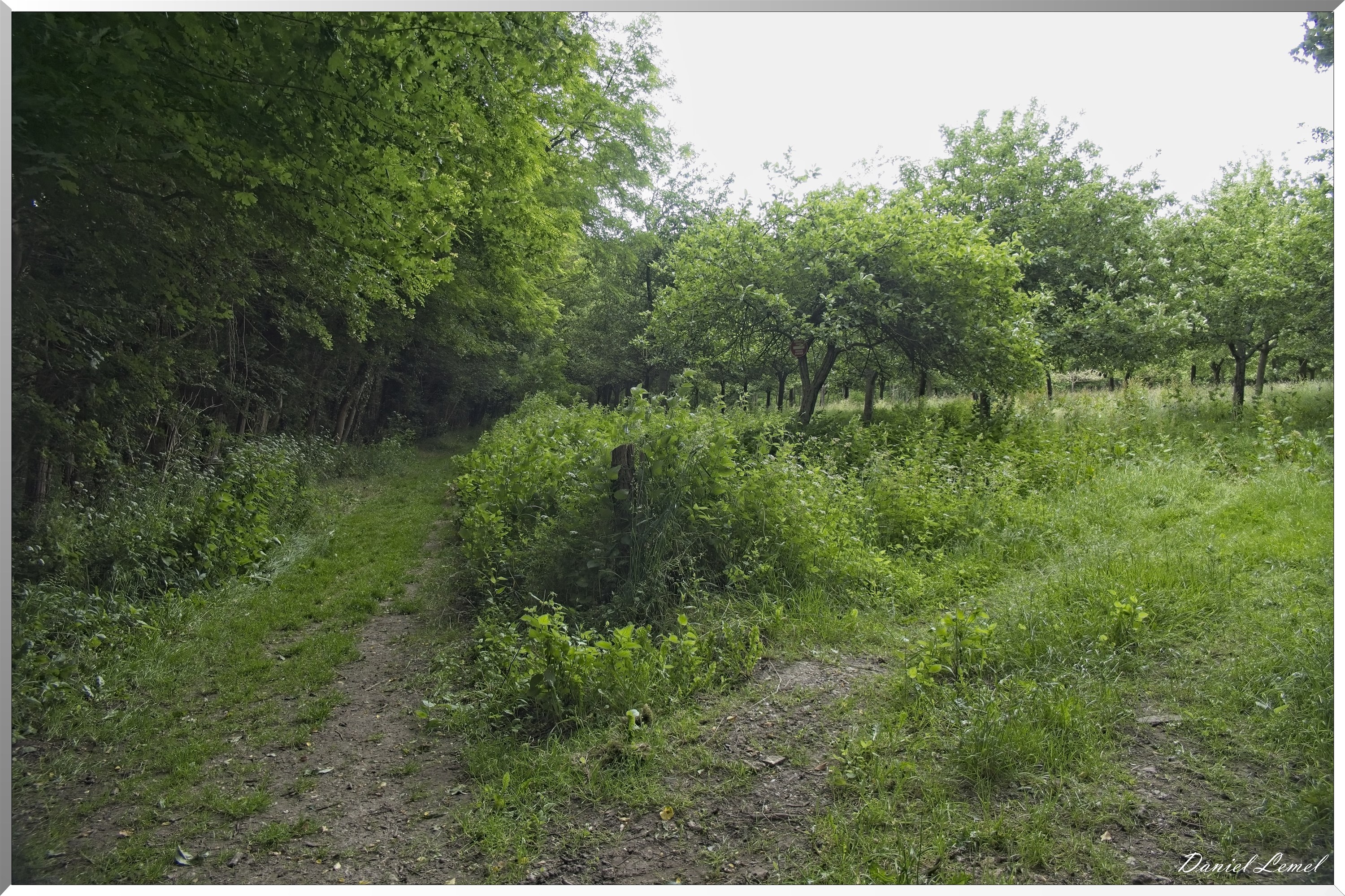 Saint-Etienne-sous-Bailleul