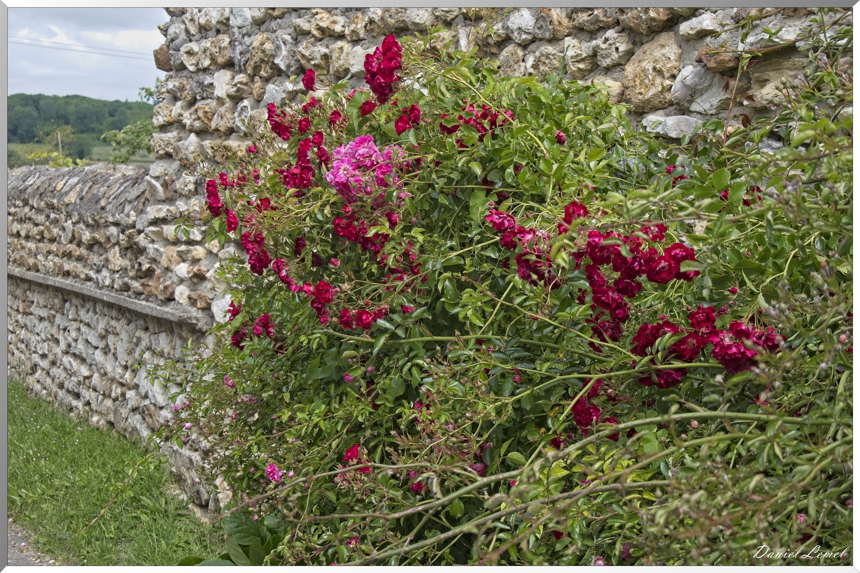 Saint-Etienne-sous-Bailleul