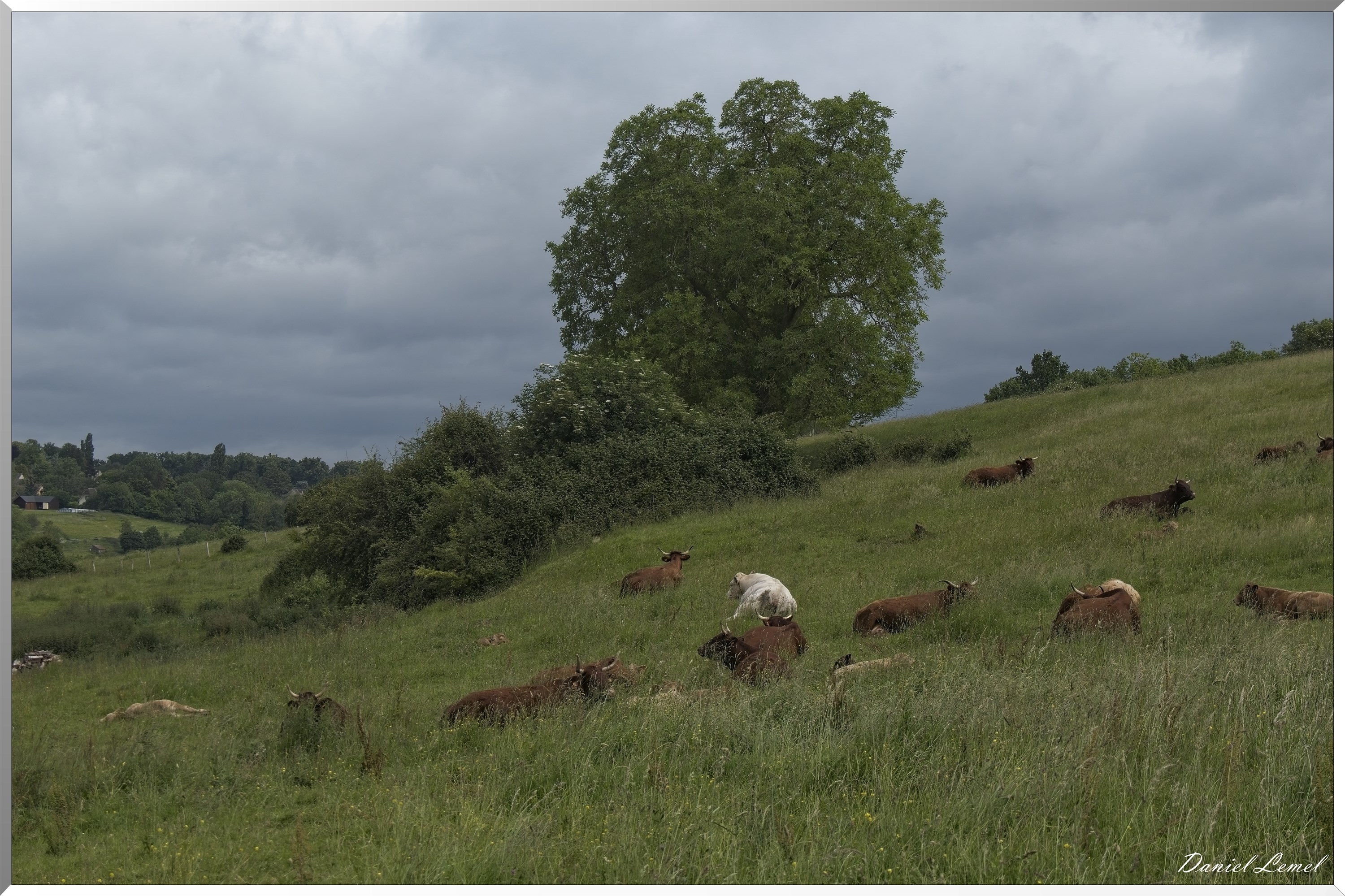 Saint-Etienne-sous-Bailleul