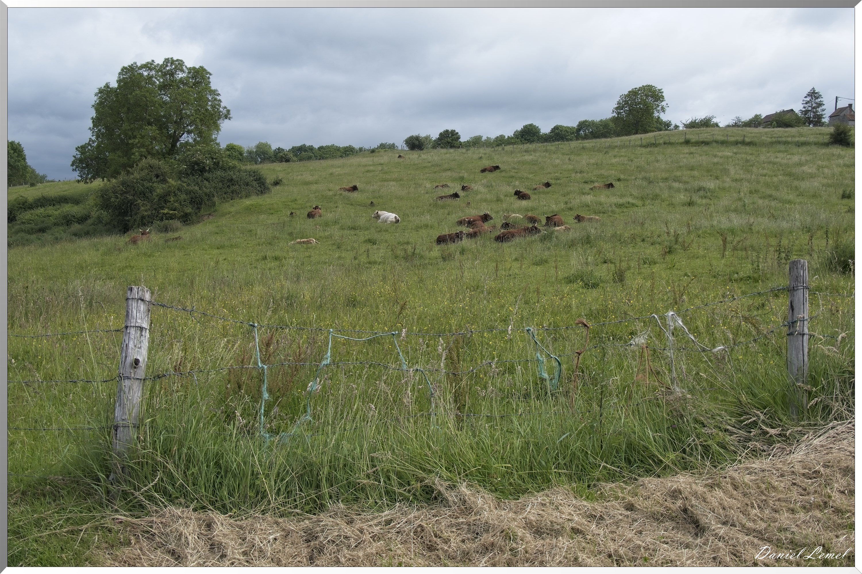 Saint-Etienne-sous-Bailleul