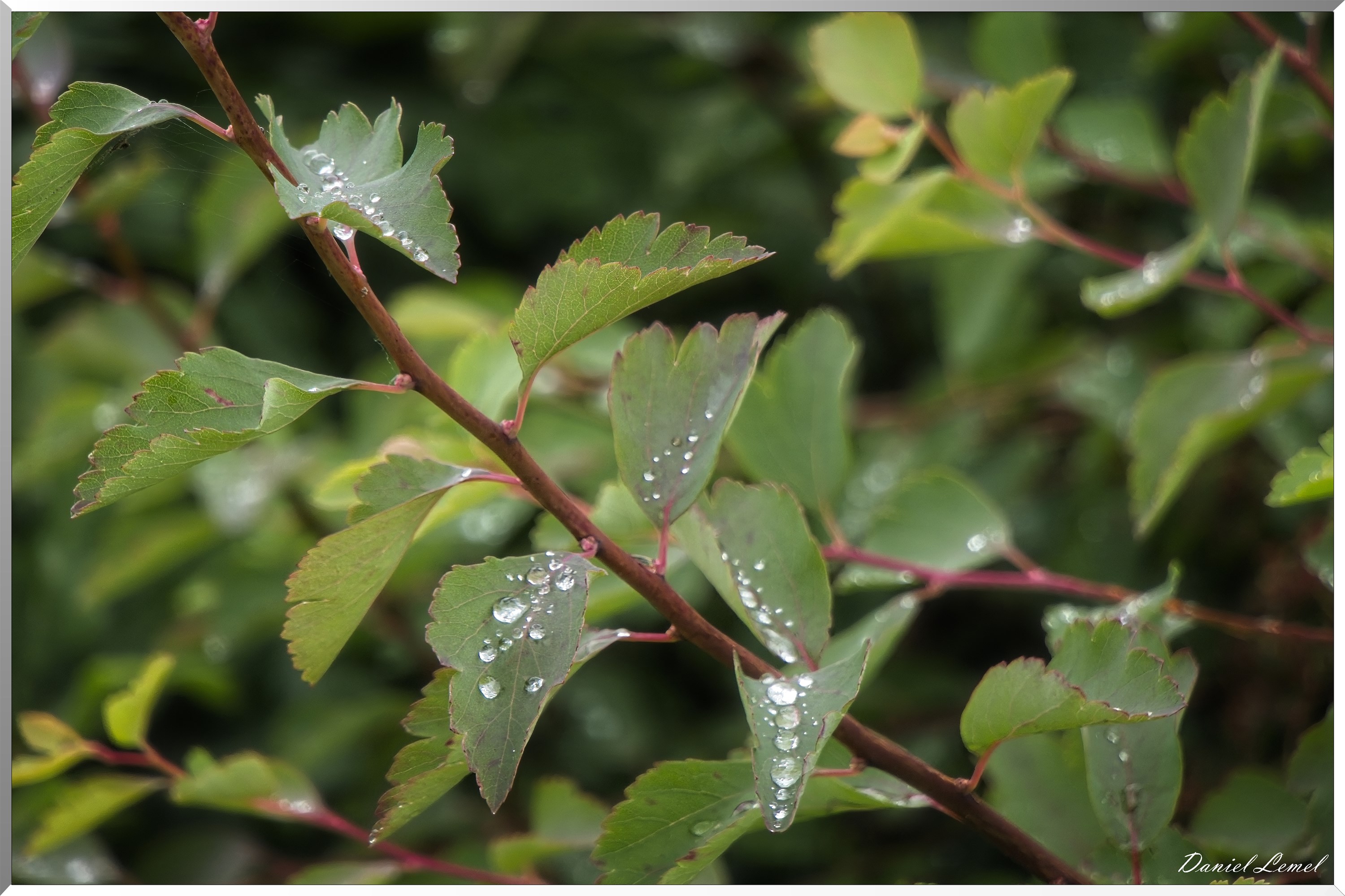 La-Chapelle-Réanville