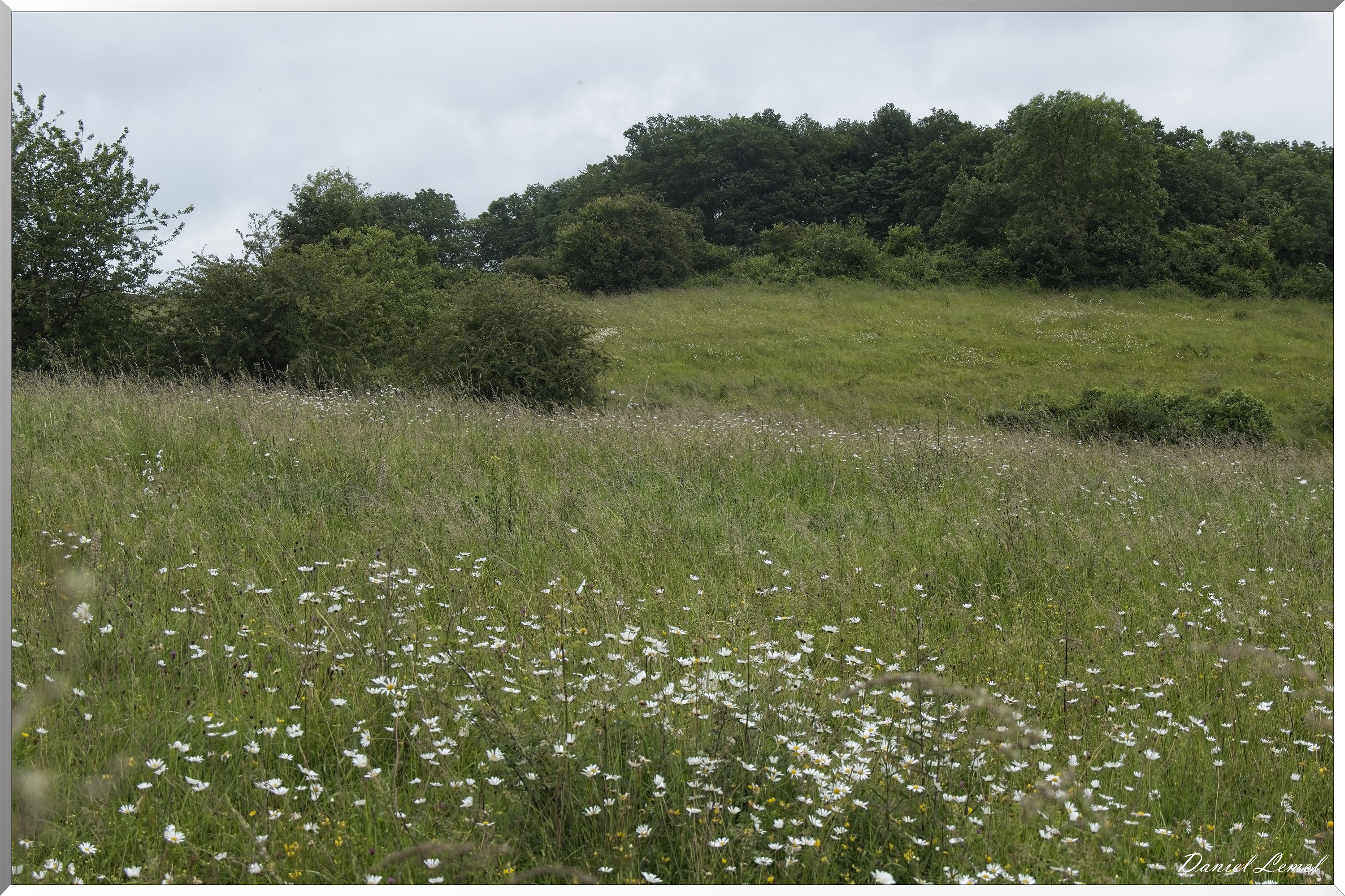 La-Chapelle-Réanville