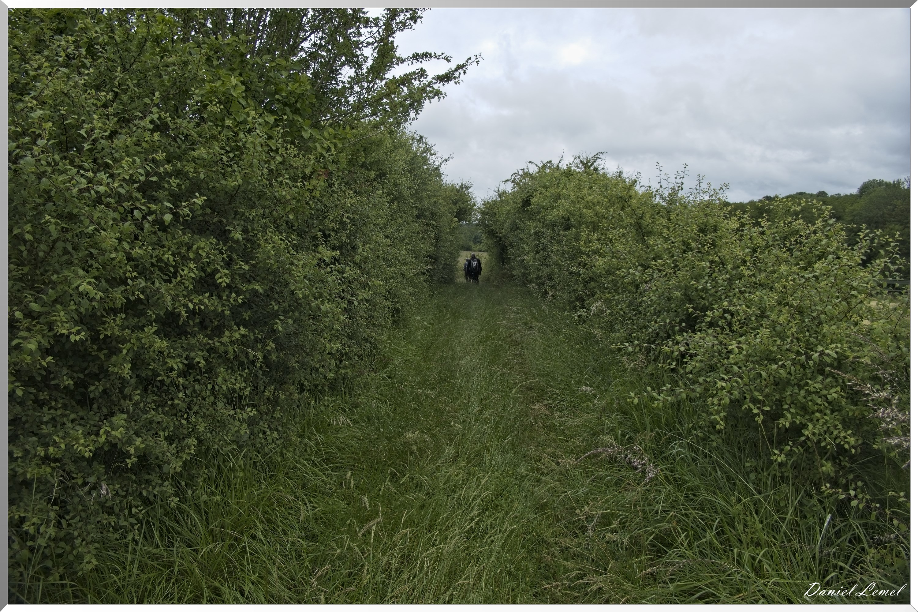 La-Chapelle-Réanville