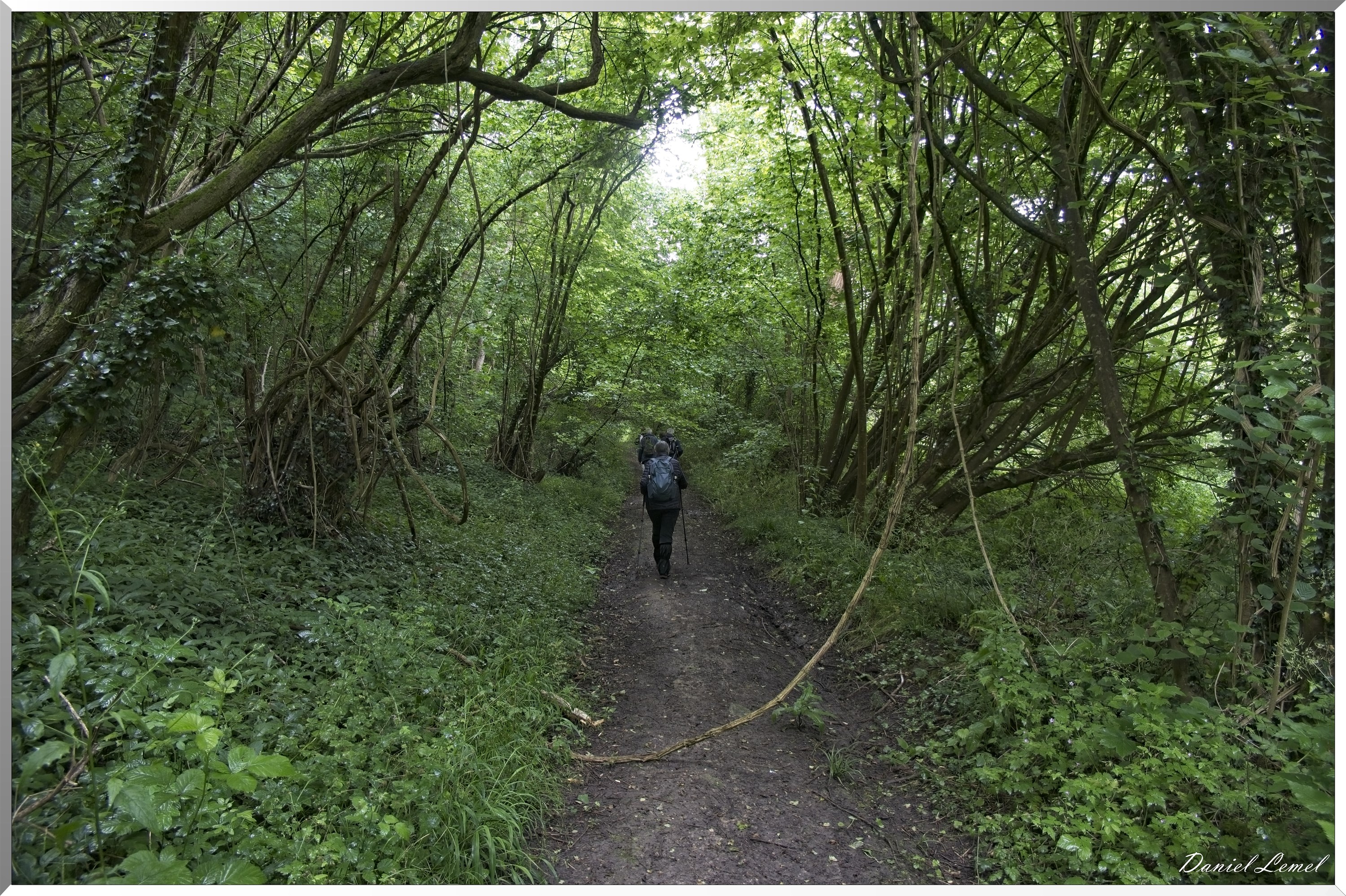 La-Chapelle-Réanville