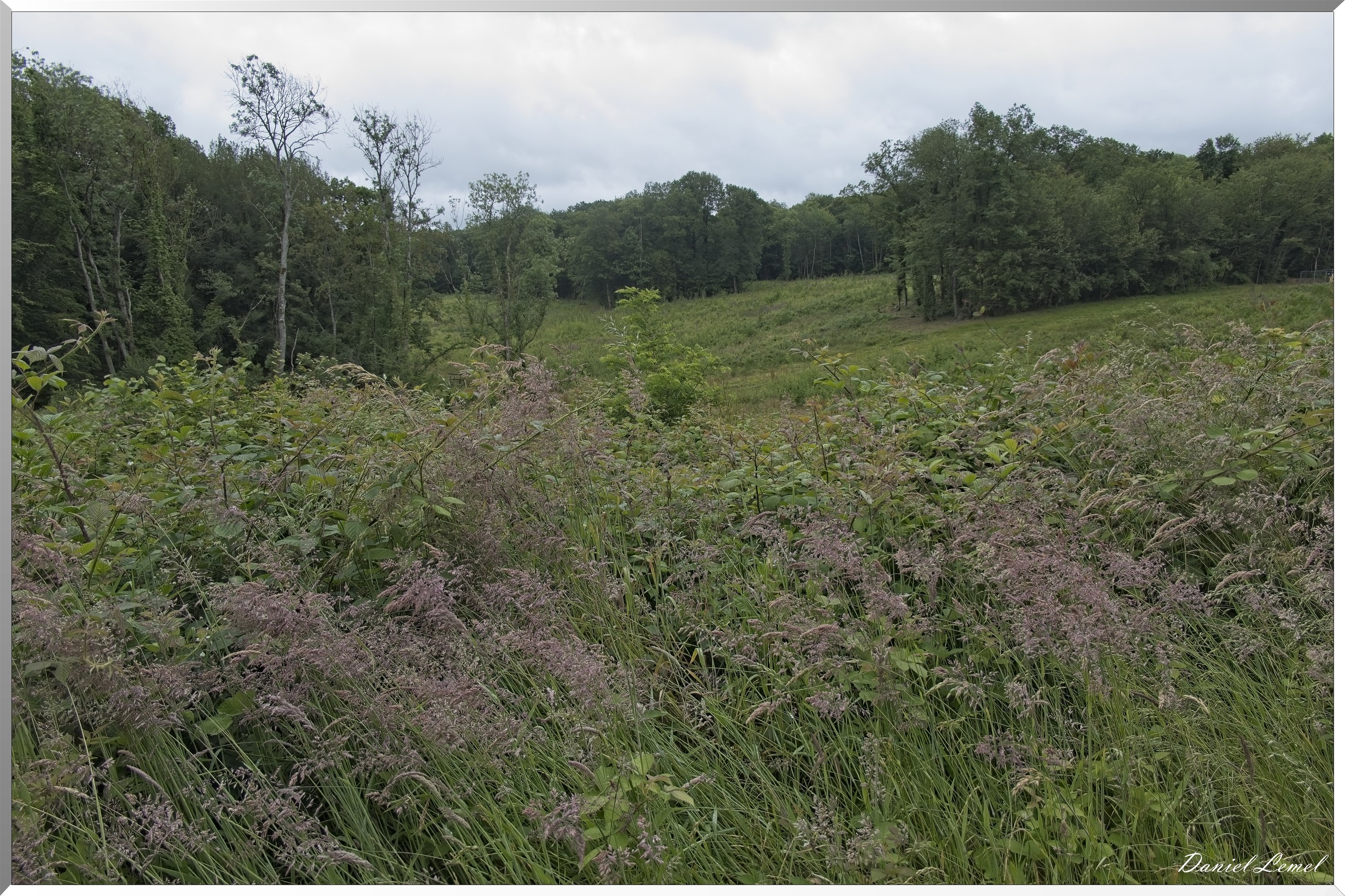 La-Chapelle-Réanville