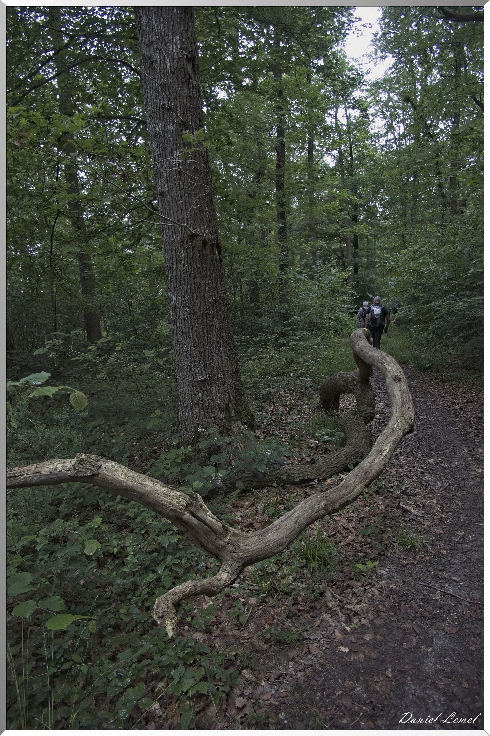 La-Chapelle-Réanville