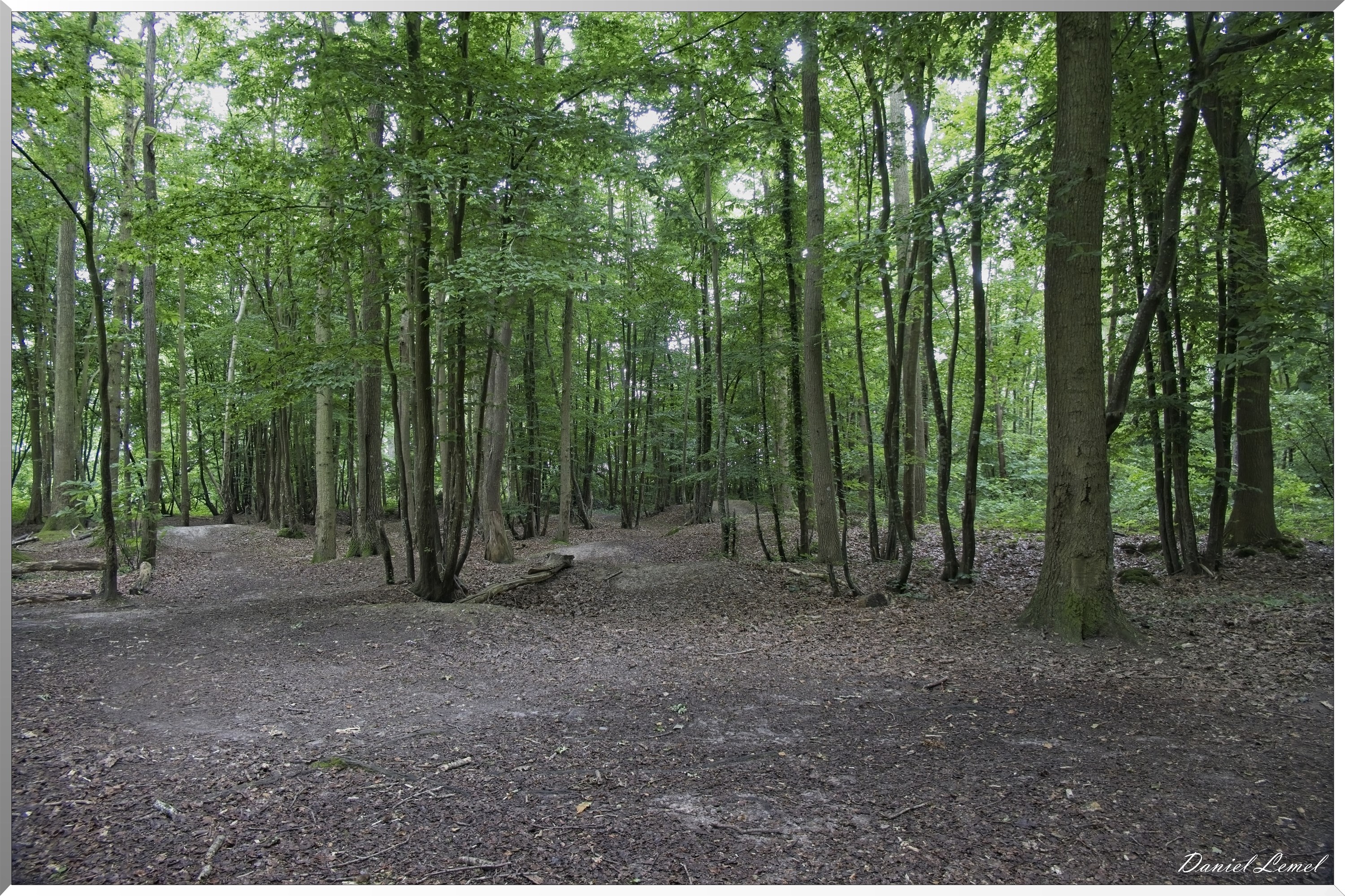 La-Chapelle-Réanville