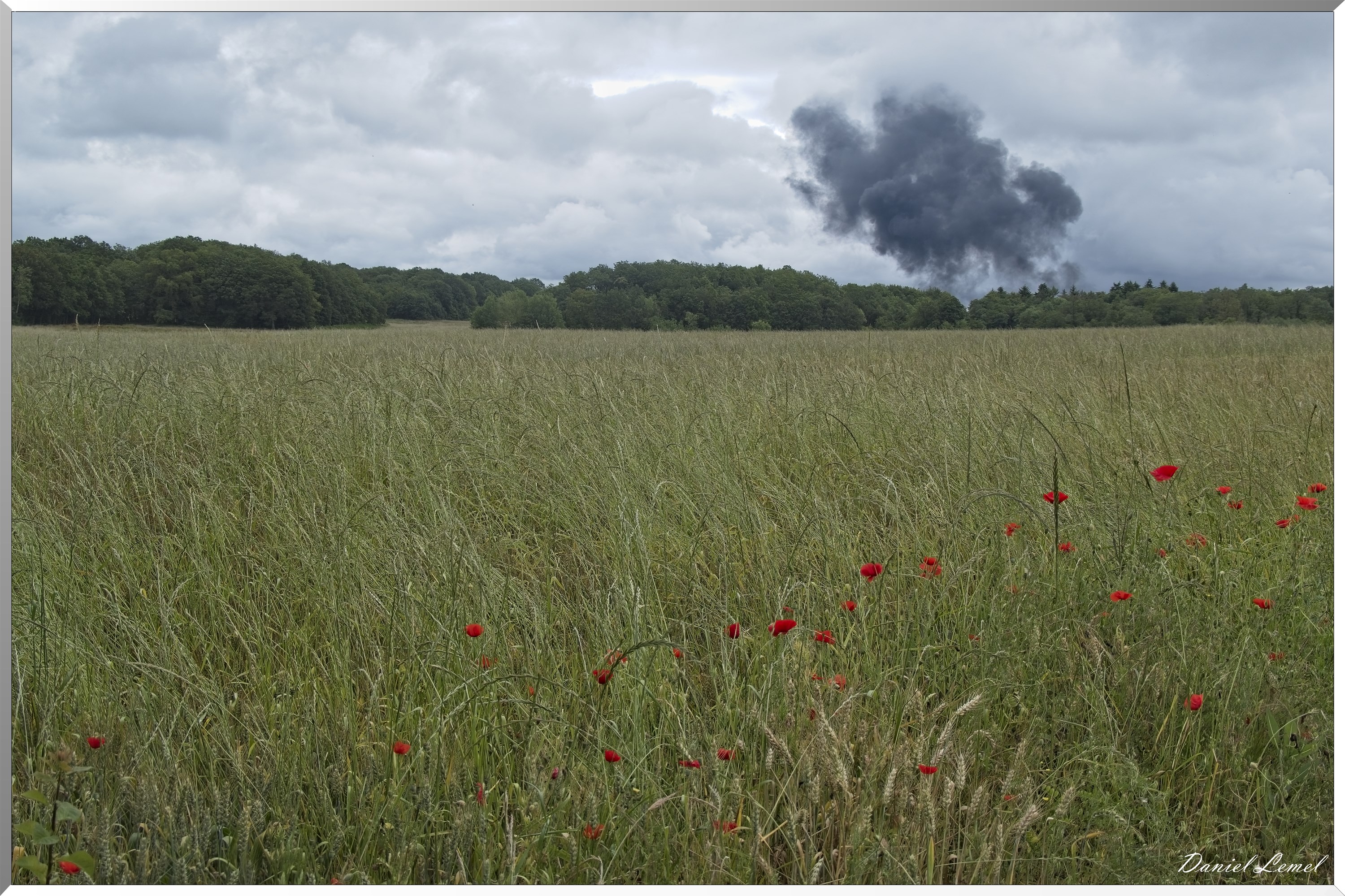 La-Chapelle-Réanville