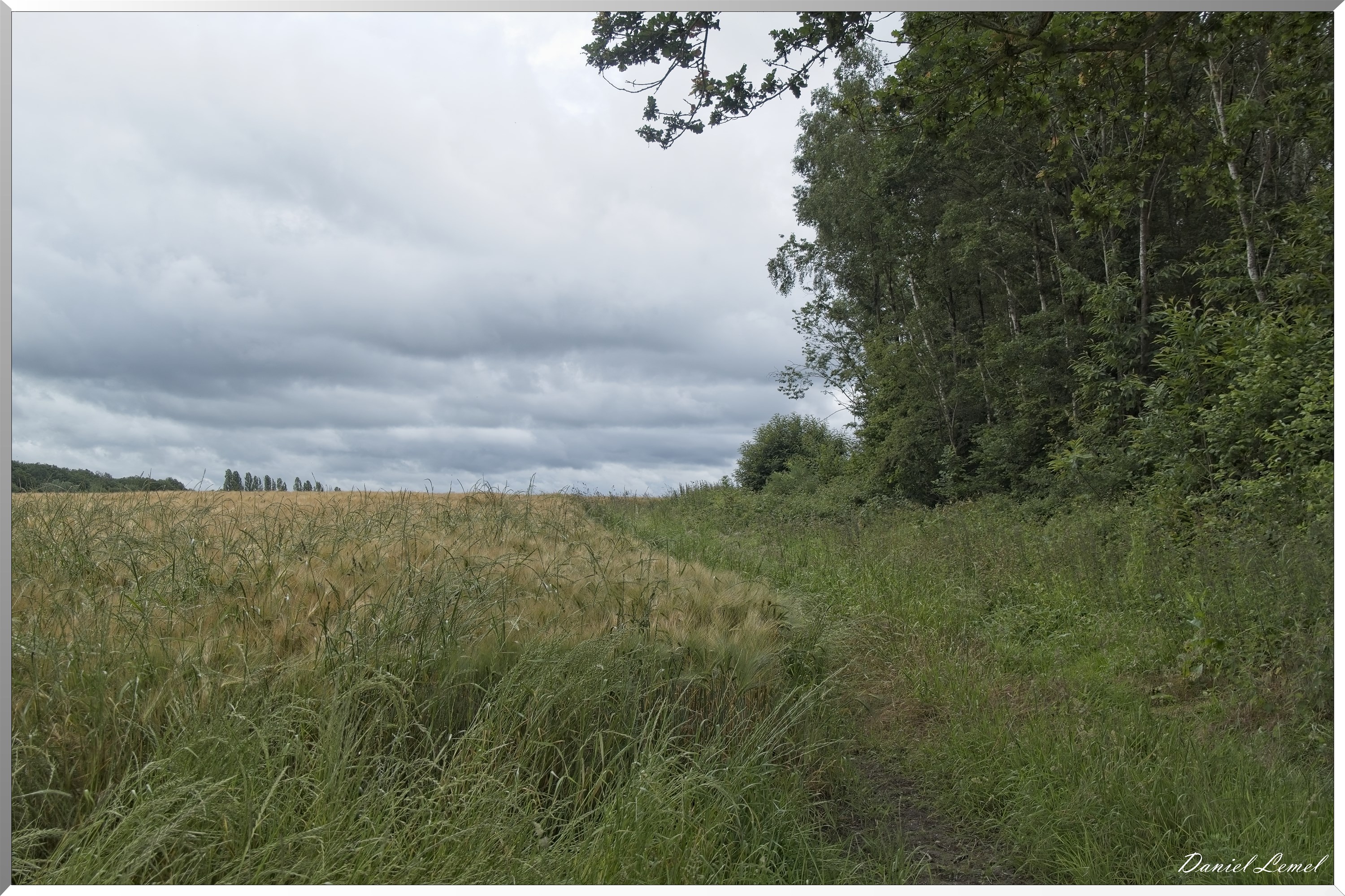 La-Chapelle-Réanville