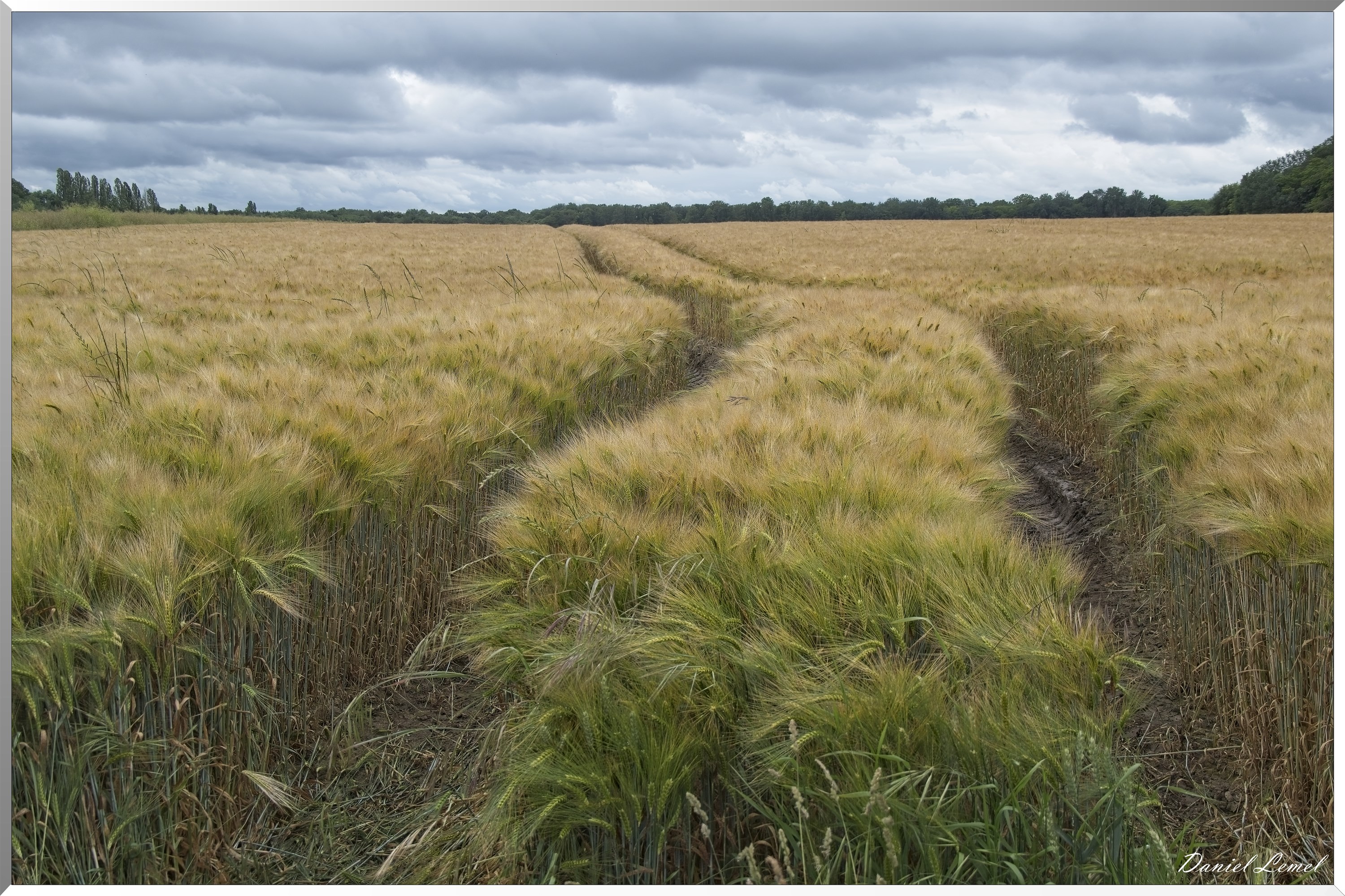 La-Chapelle-Réanville