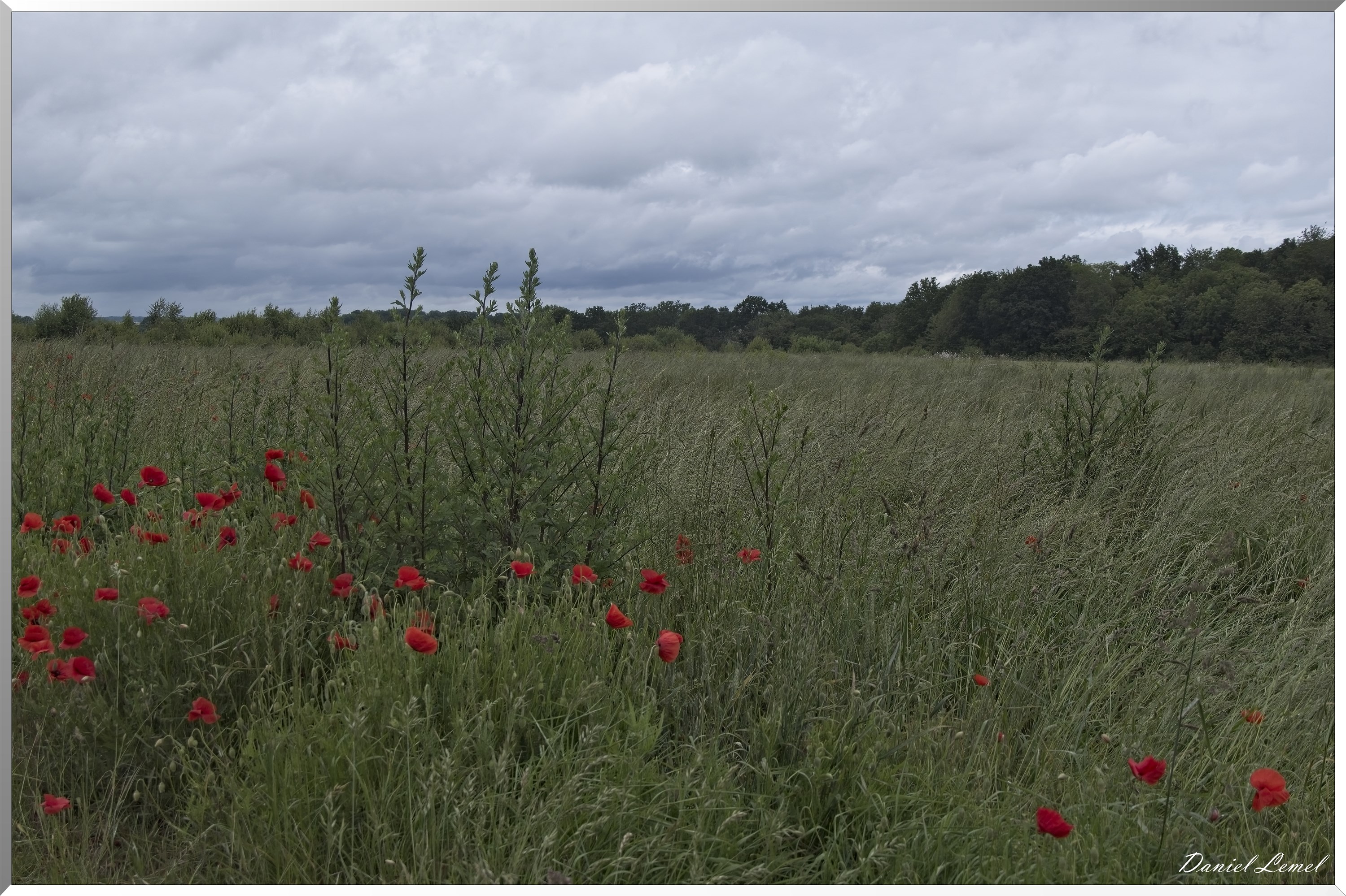 La-Chapelle-Réanville