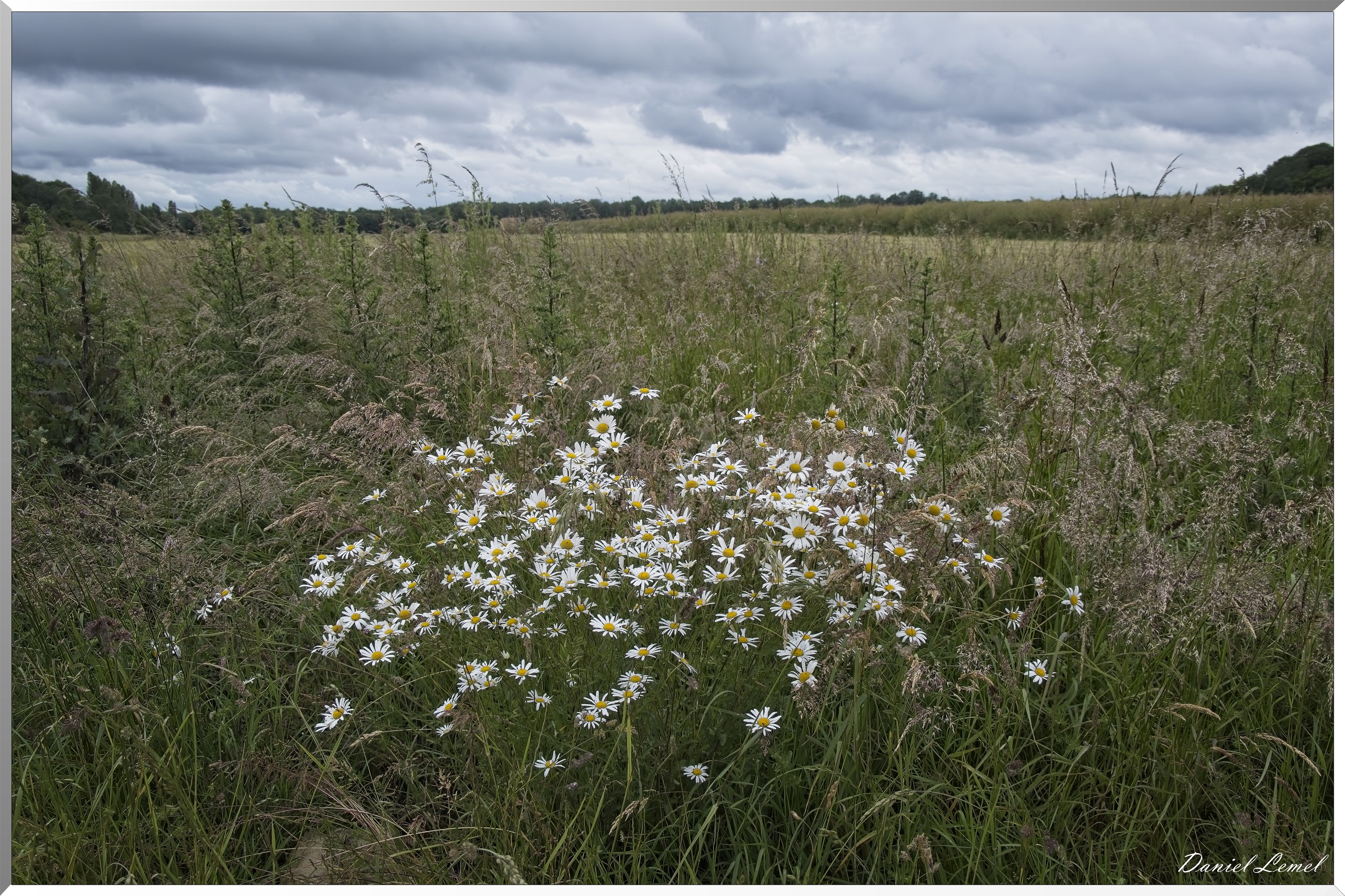 La-Chapelle-Réanville
