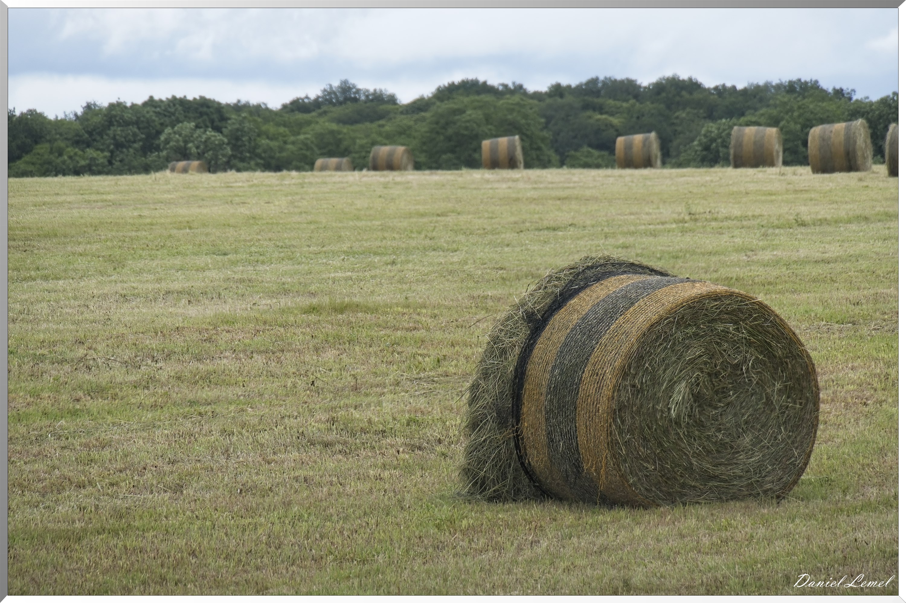 La-Chapelle-Réanville