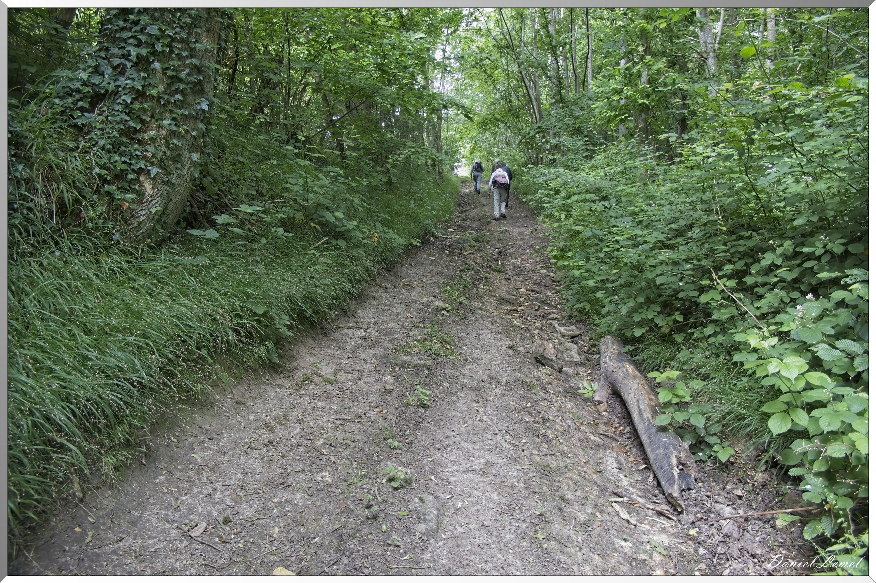 La-Chapelle-Réanville