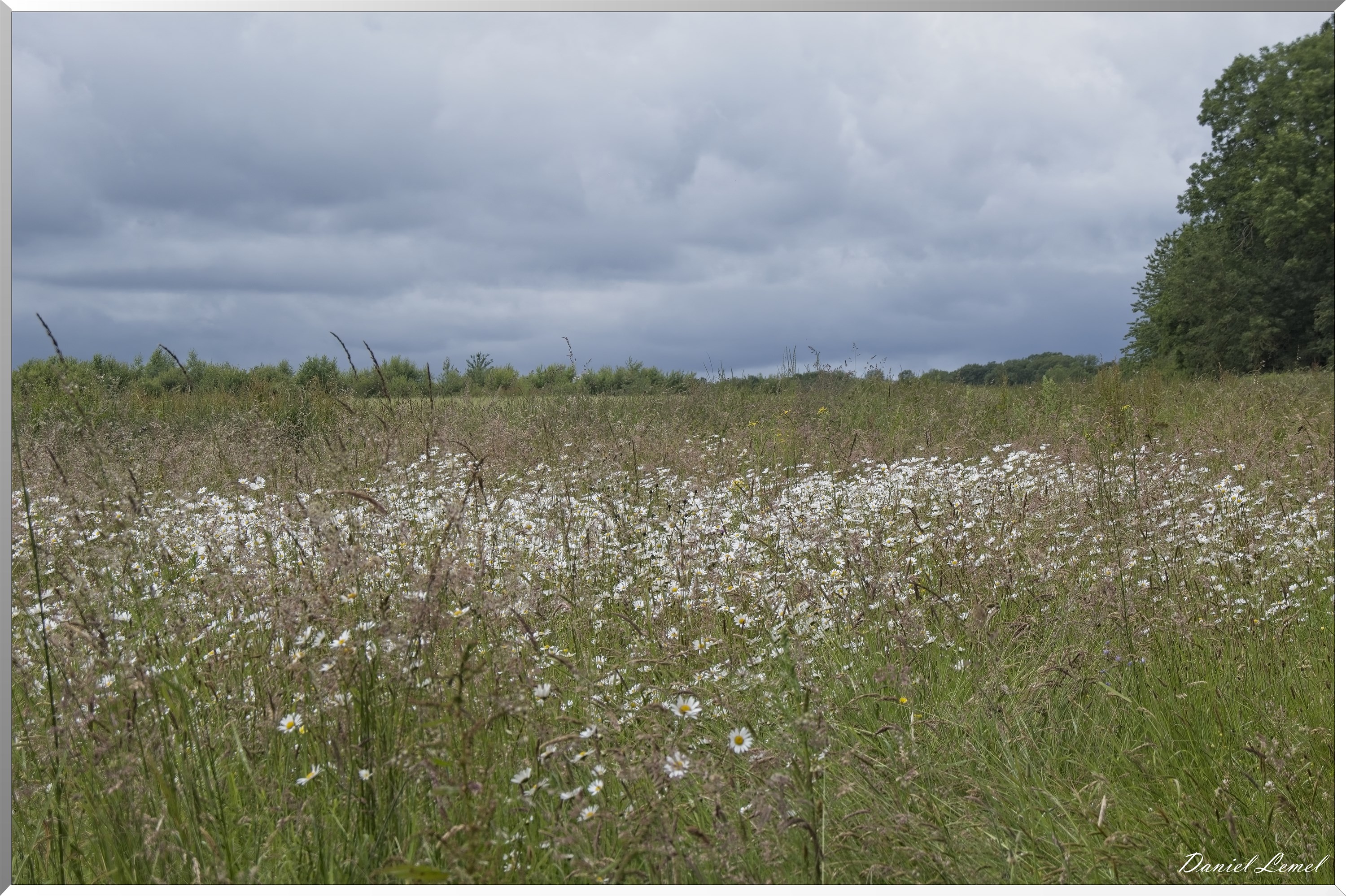 La-Chapelle-Réanville