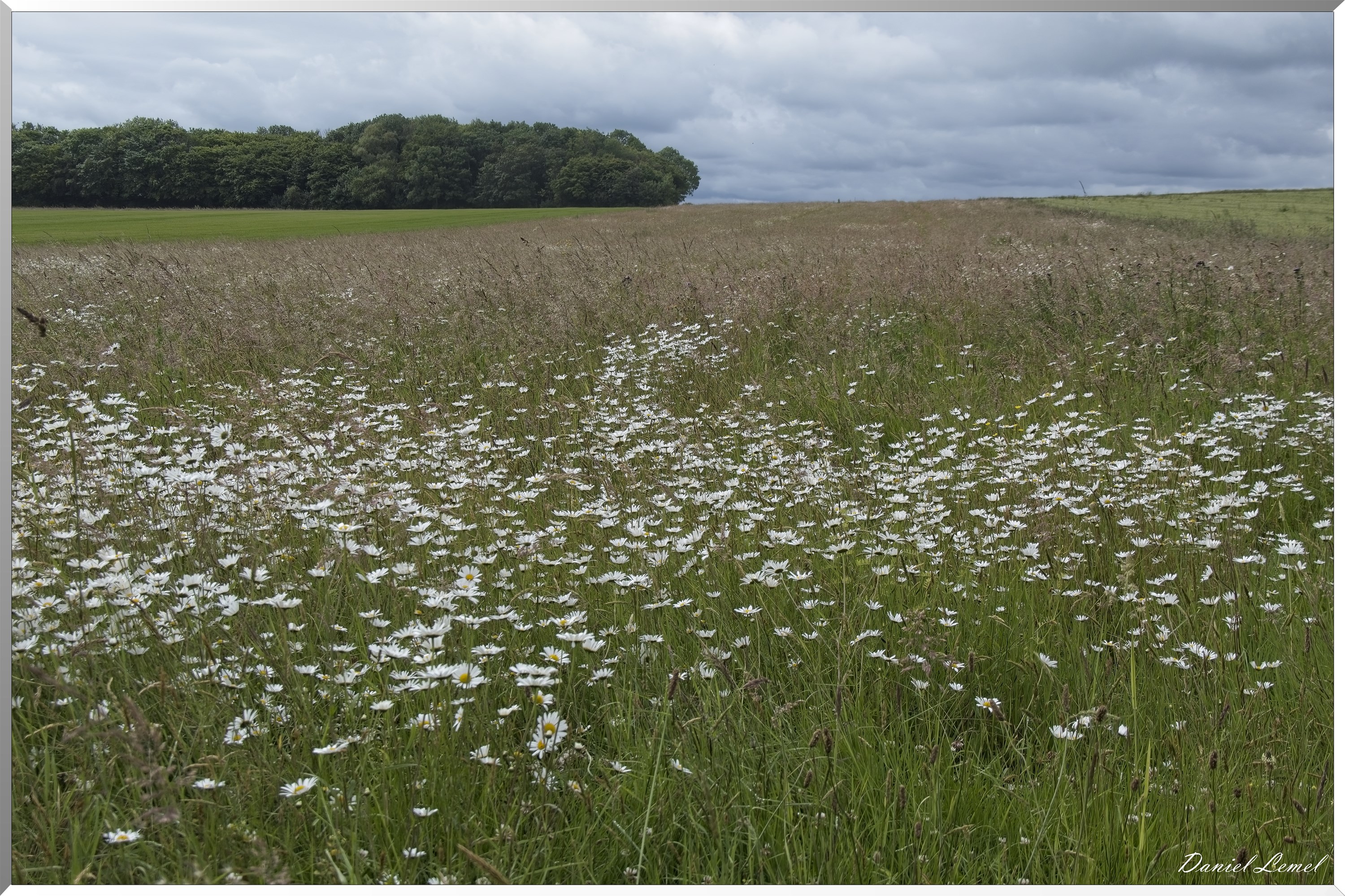 La-Chapelle-Réanville