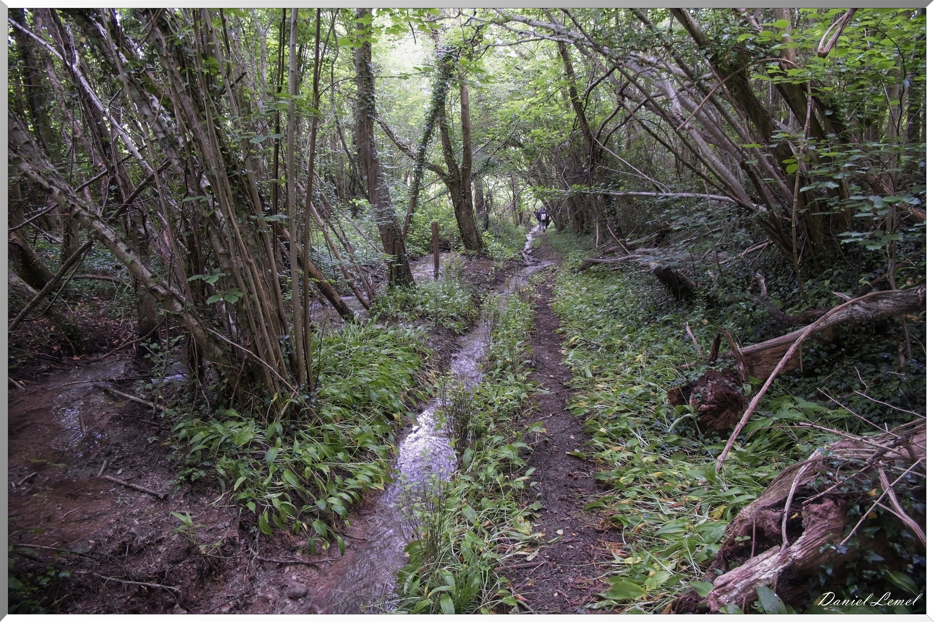 La-Chapelle-Réanville