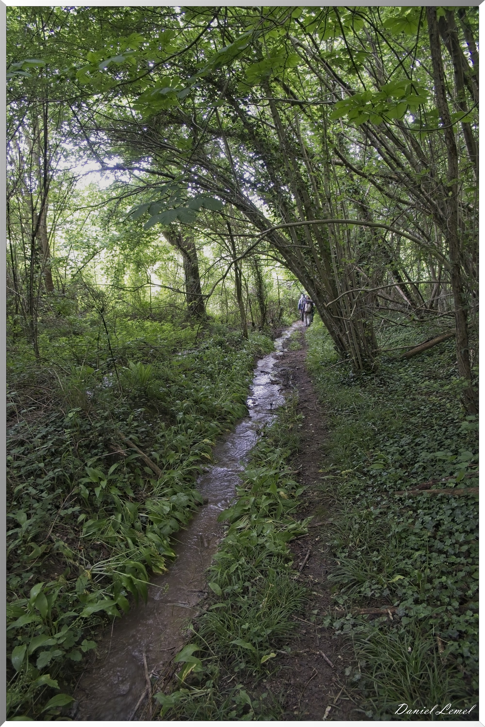 La-Chapelle-Réanville
