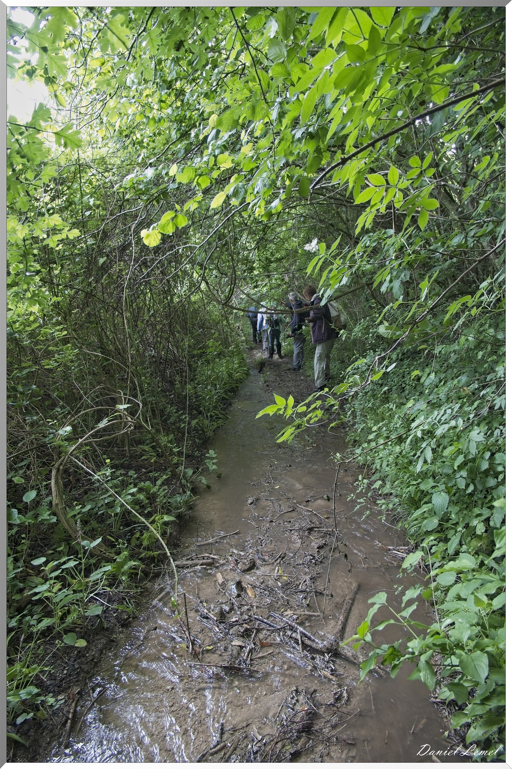 La-Chapelle-Réanville