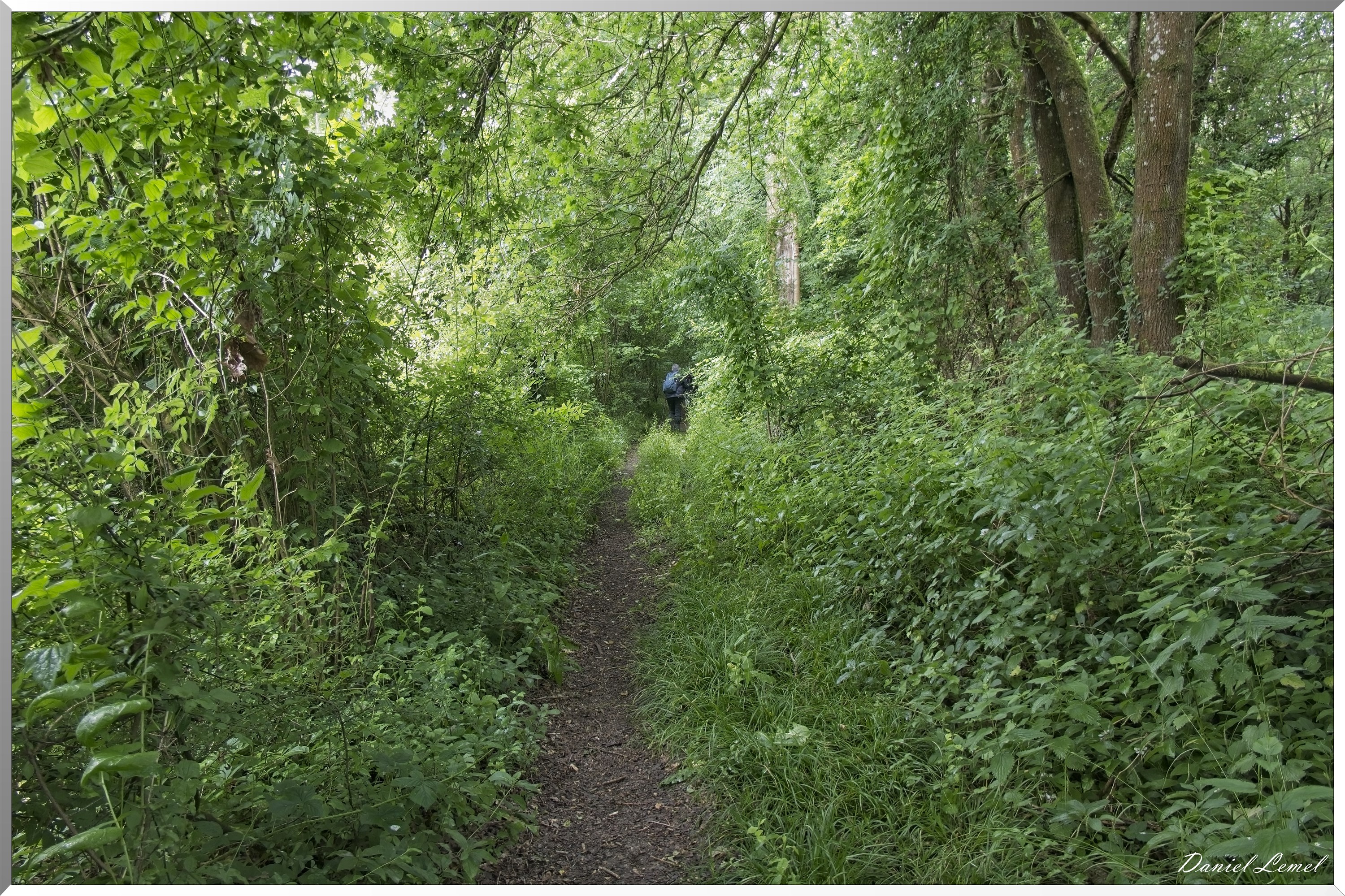 La-Chapelle-Réanville
