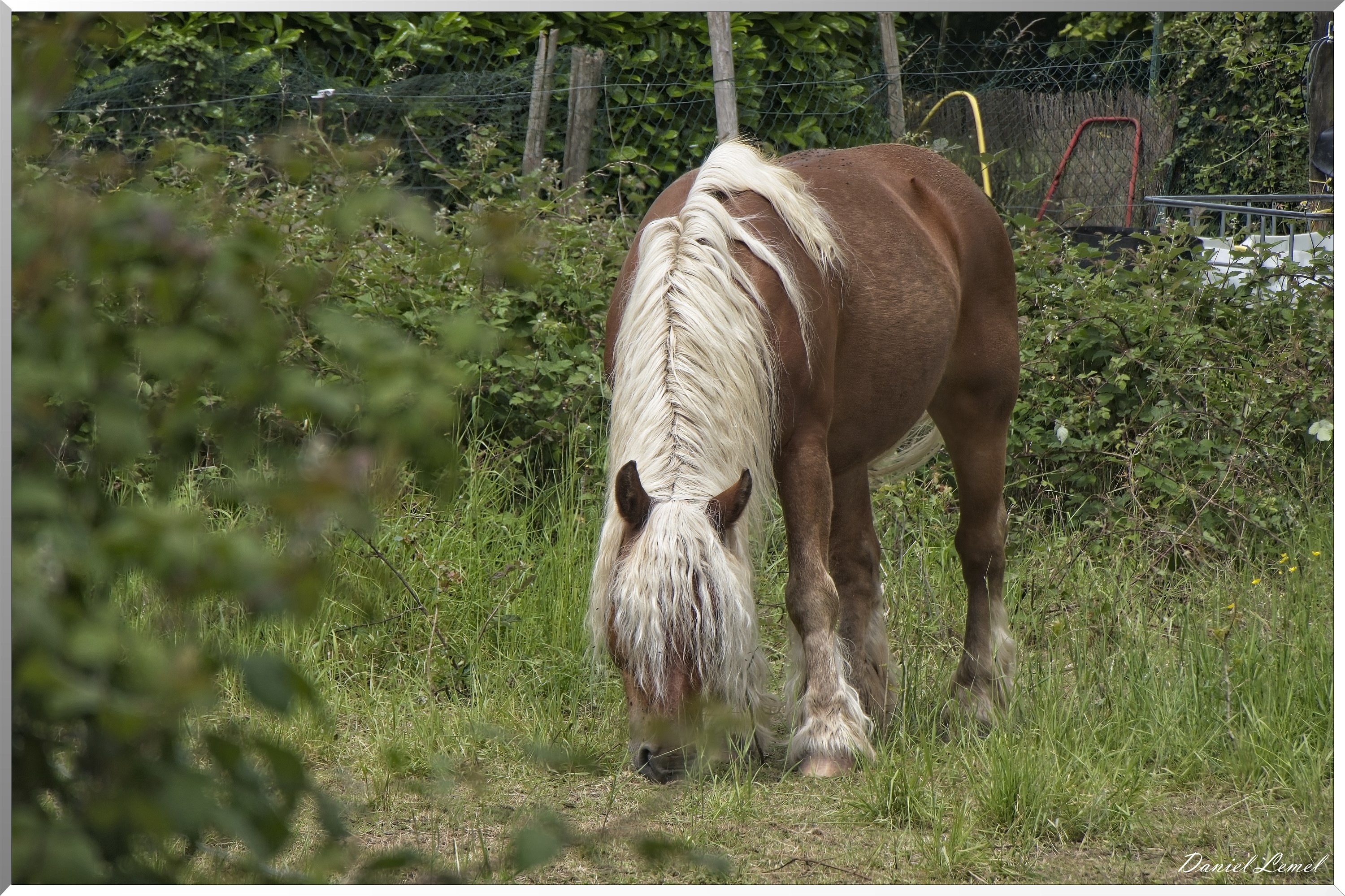 La-Chapelle-Réanville