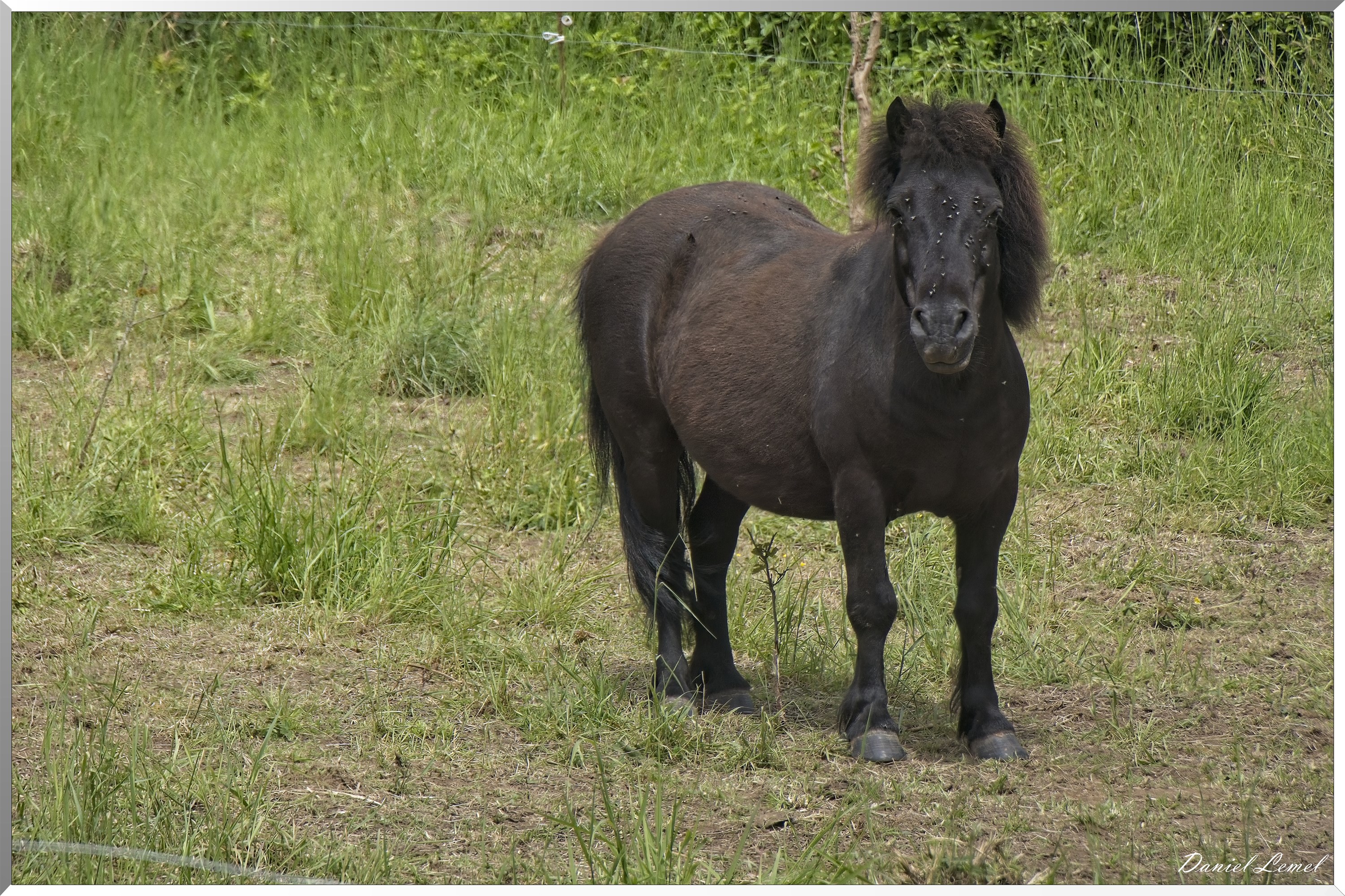 La-Chapelle-Réanville