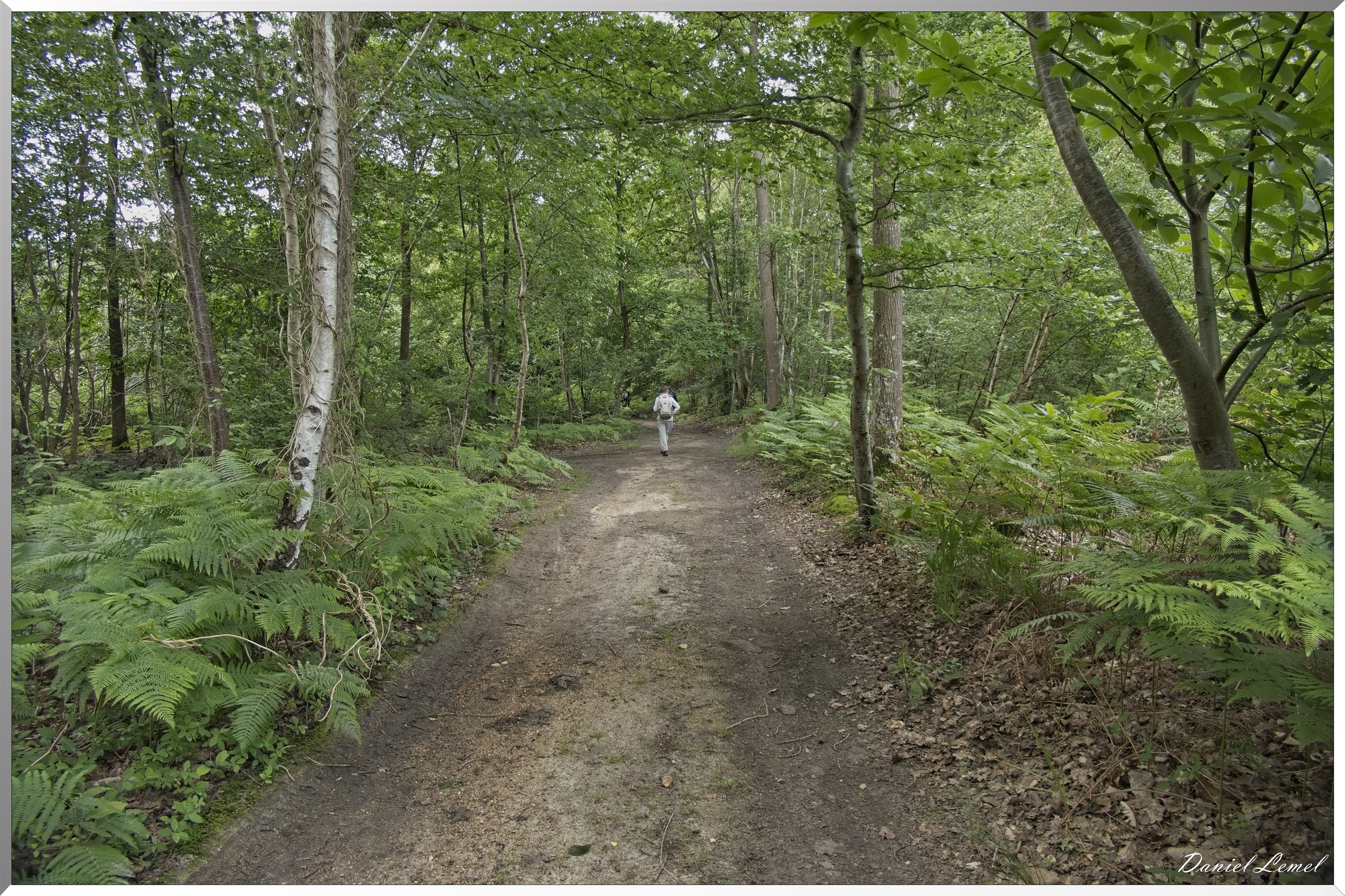 La-Chapelle-Réanville