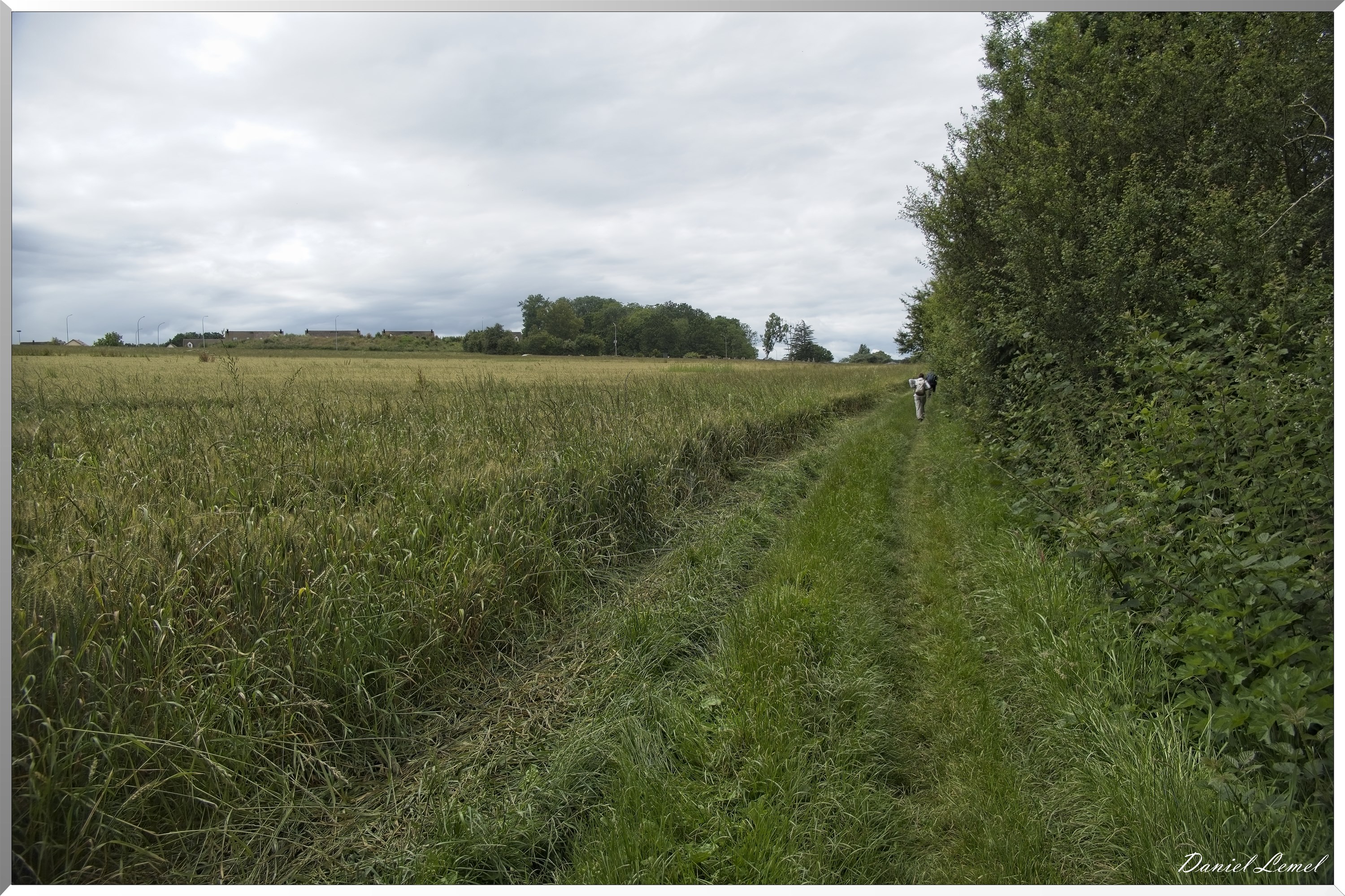 La-Chapelle-Réanville