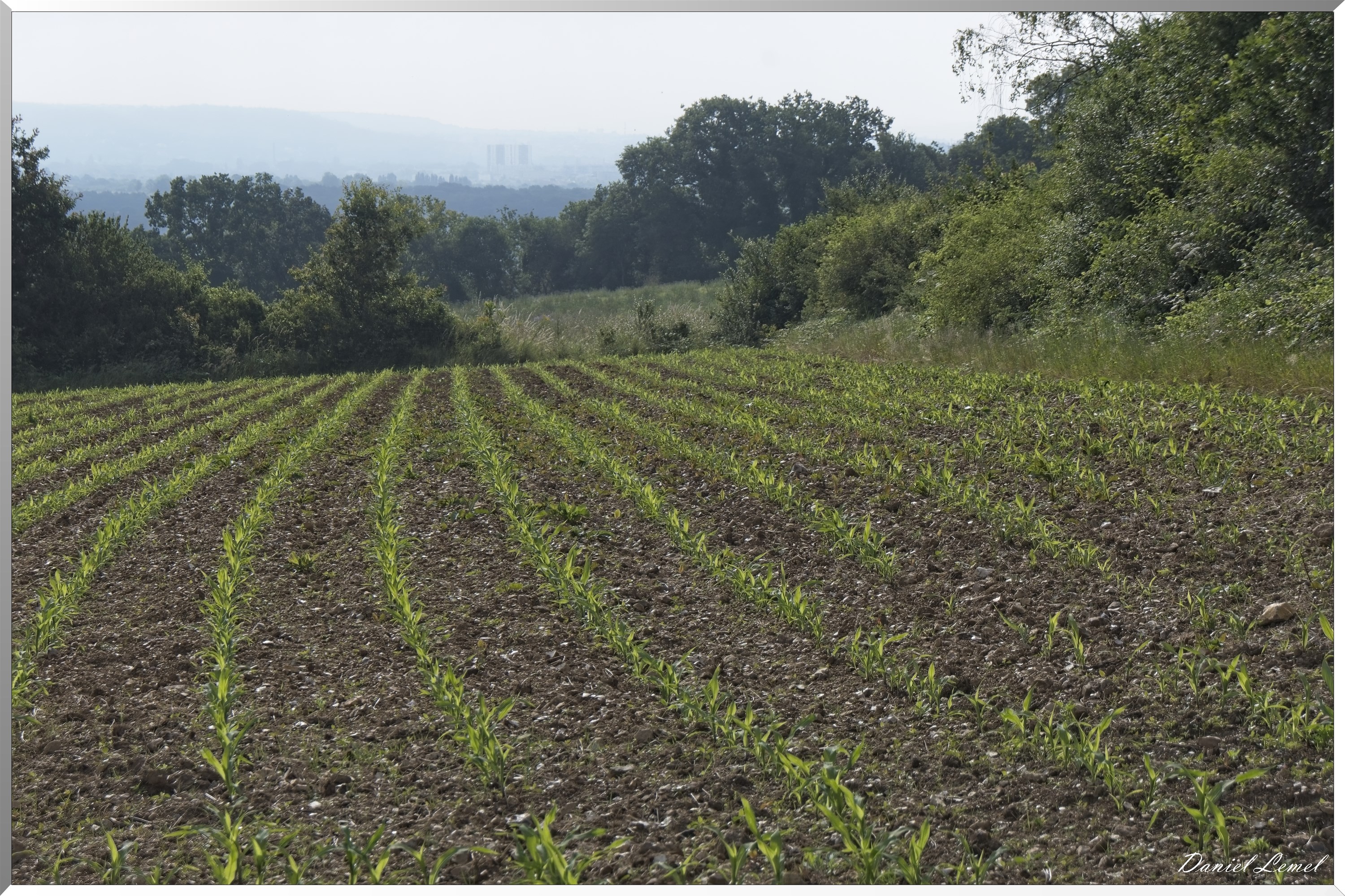 Rolleboise