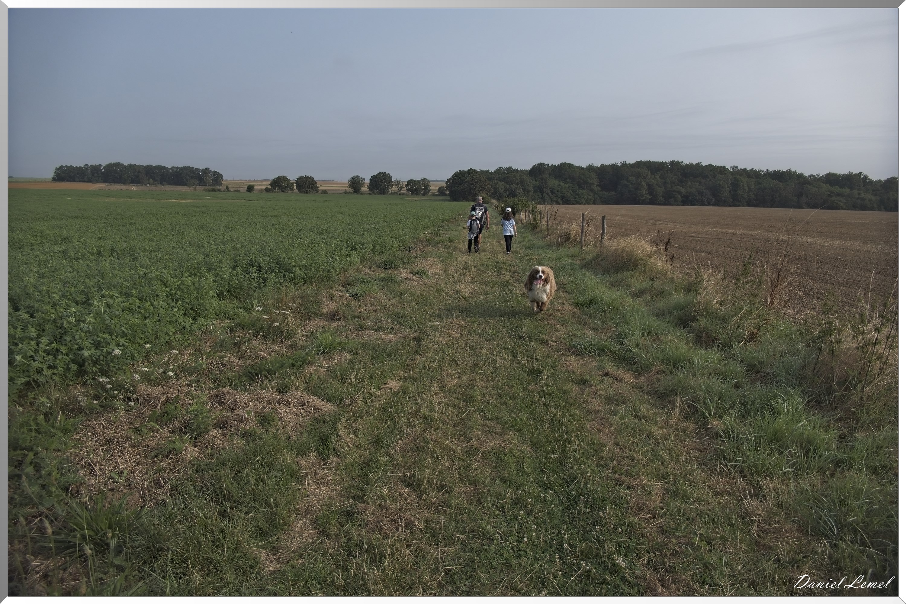 La-Chapelle-Réanville