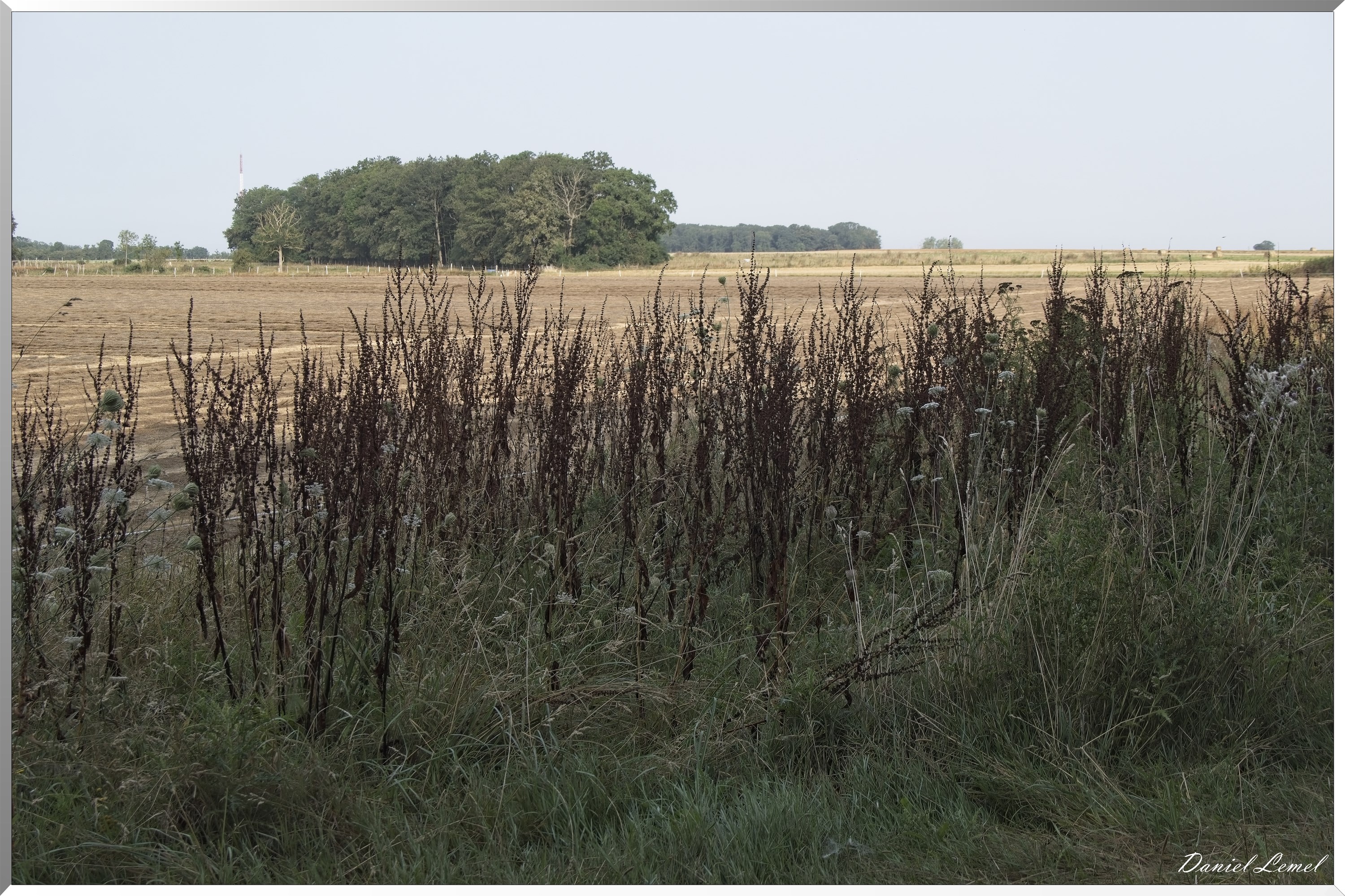 La-Chapelle-Réanville