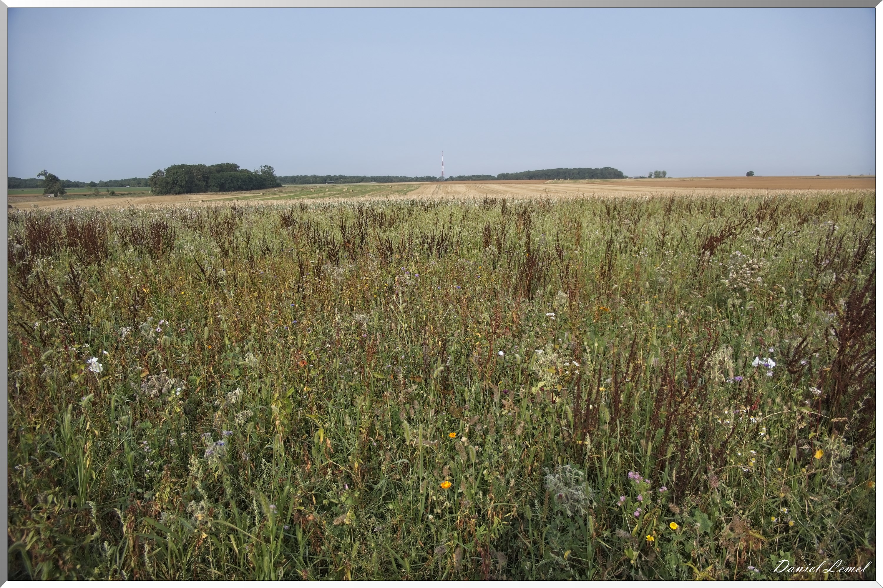 La-Chapelle-Réanville
