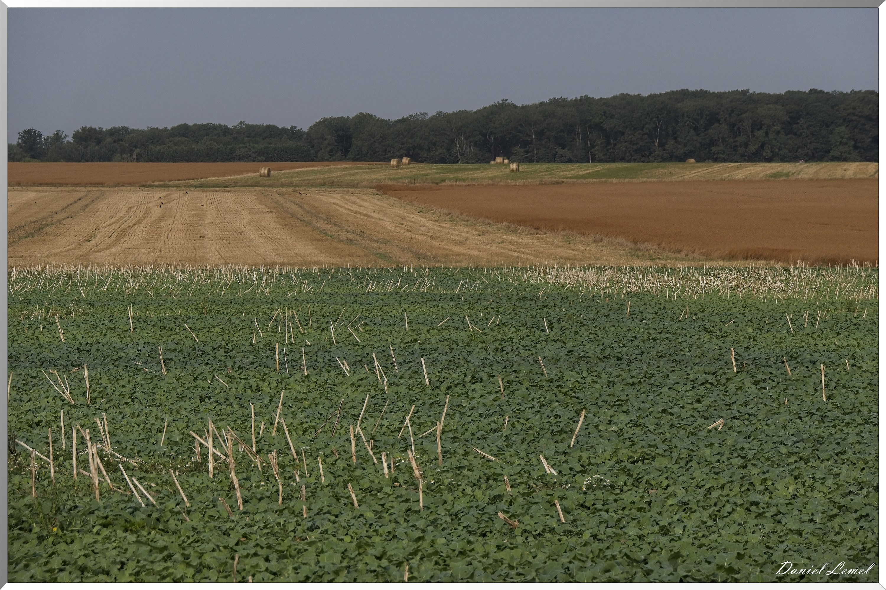 La-Chapelle-Réanville