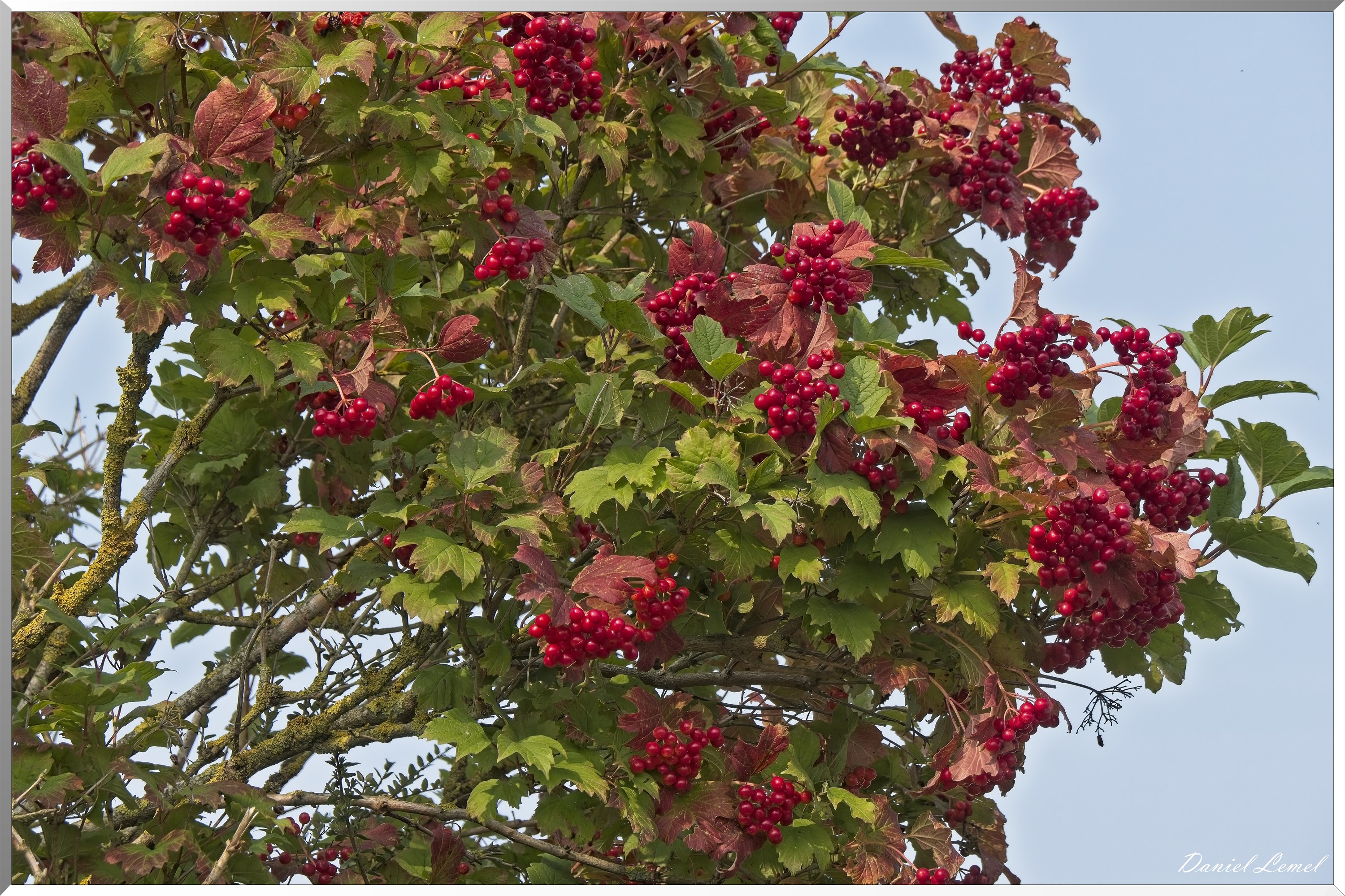 La-Chapelle-Réanville