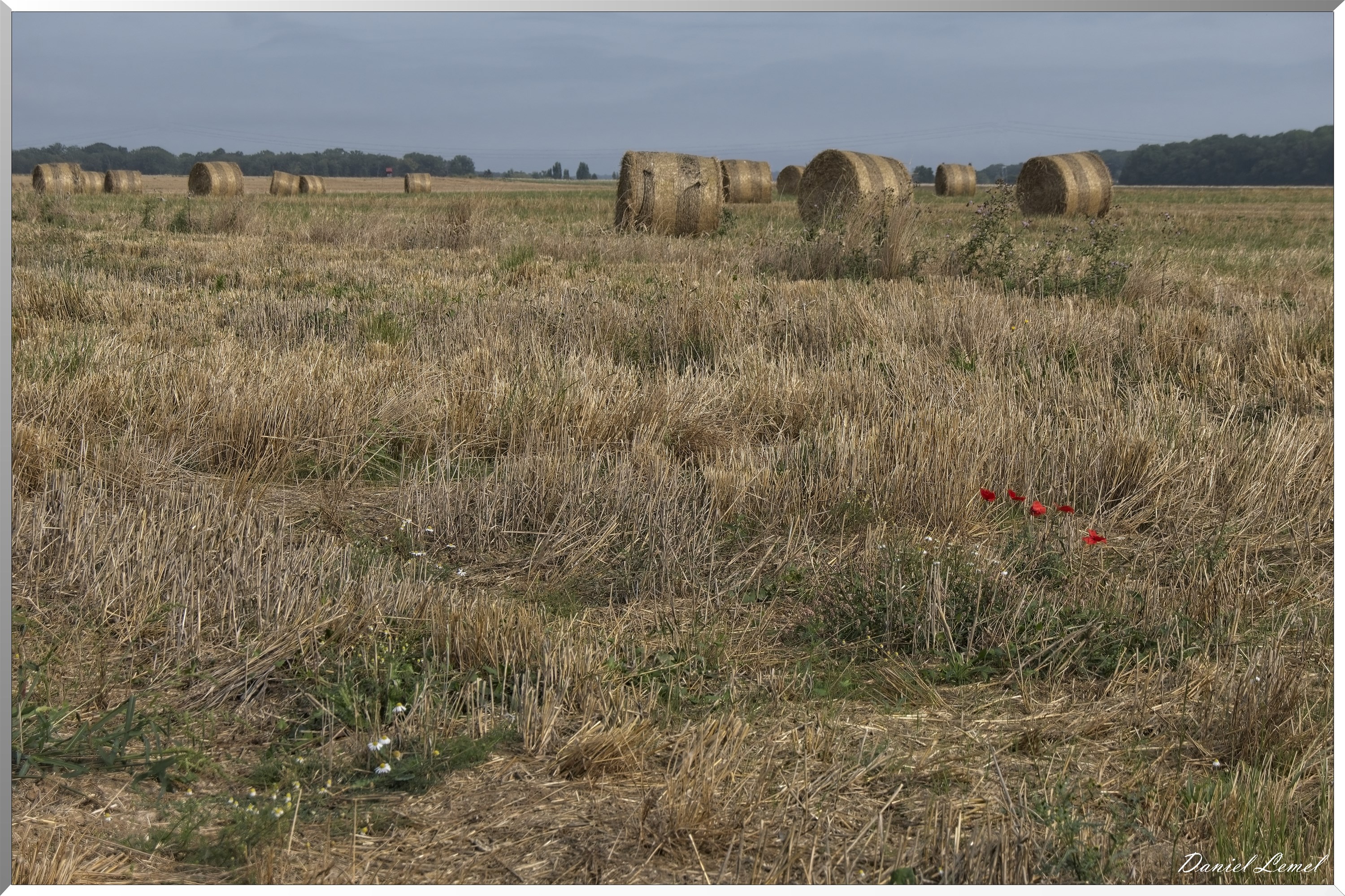 La-Chapelle-Réanville