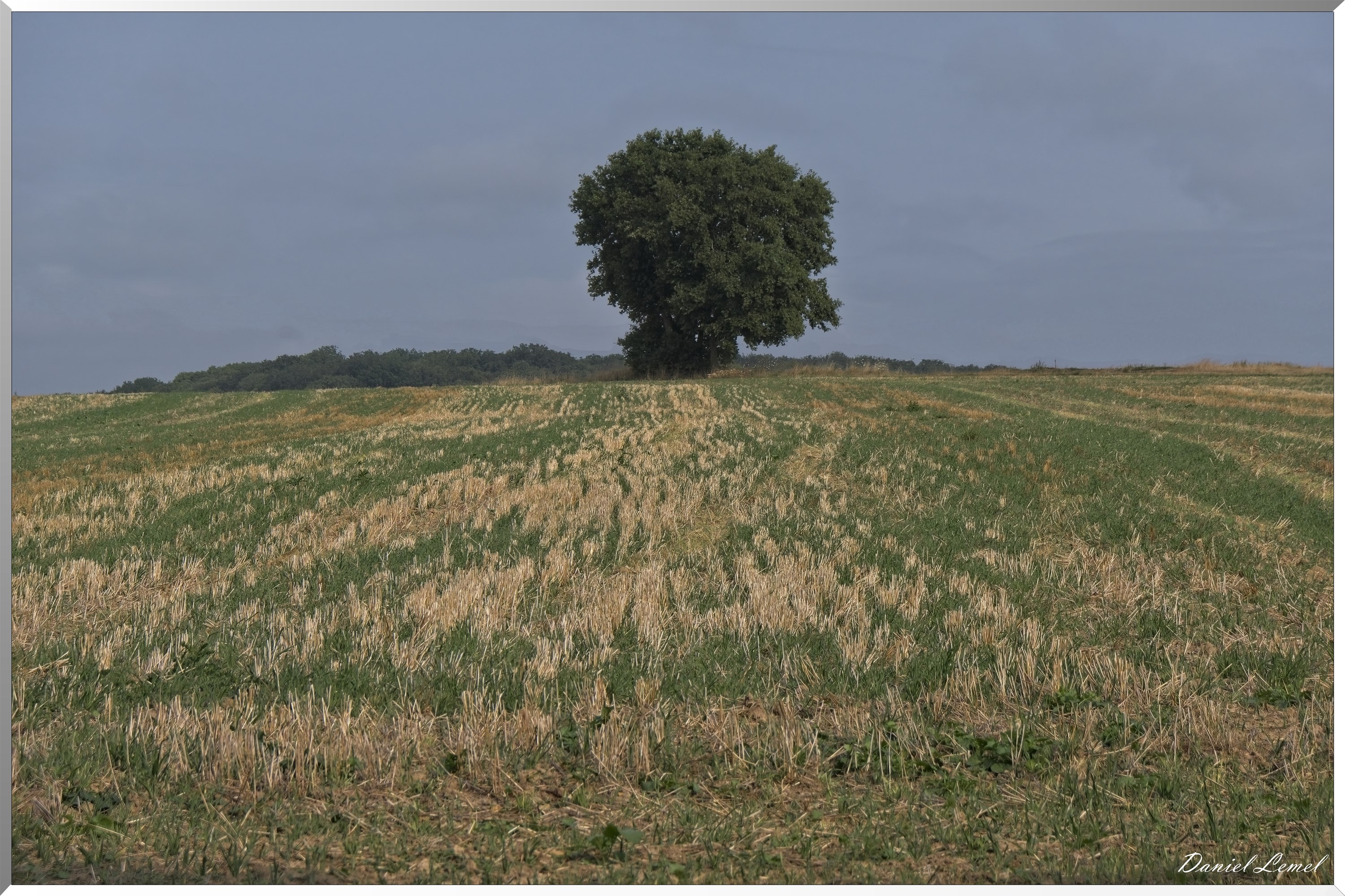 La-Chapelle-Réanville