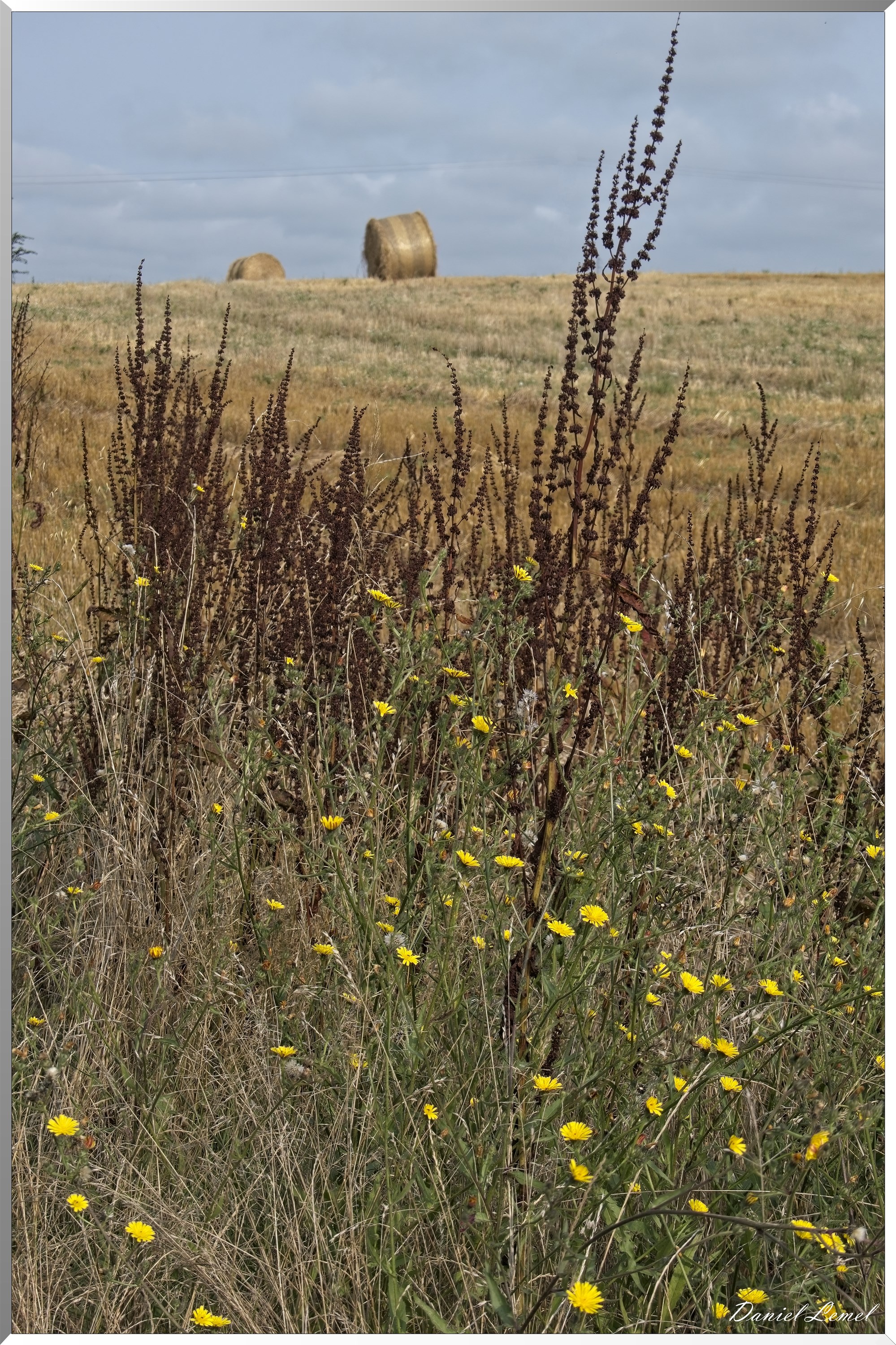 La-Chapelle-Réanville