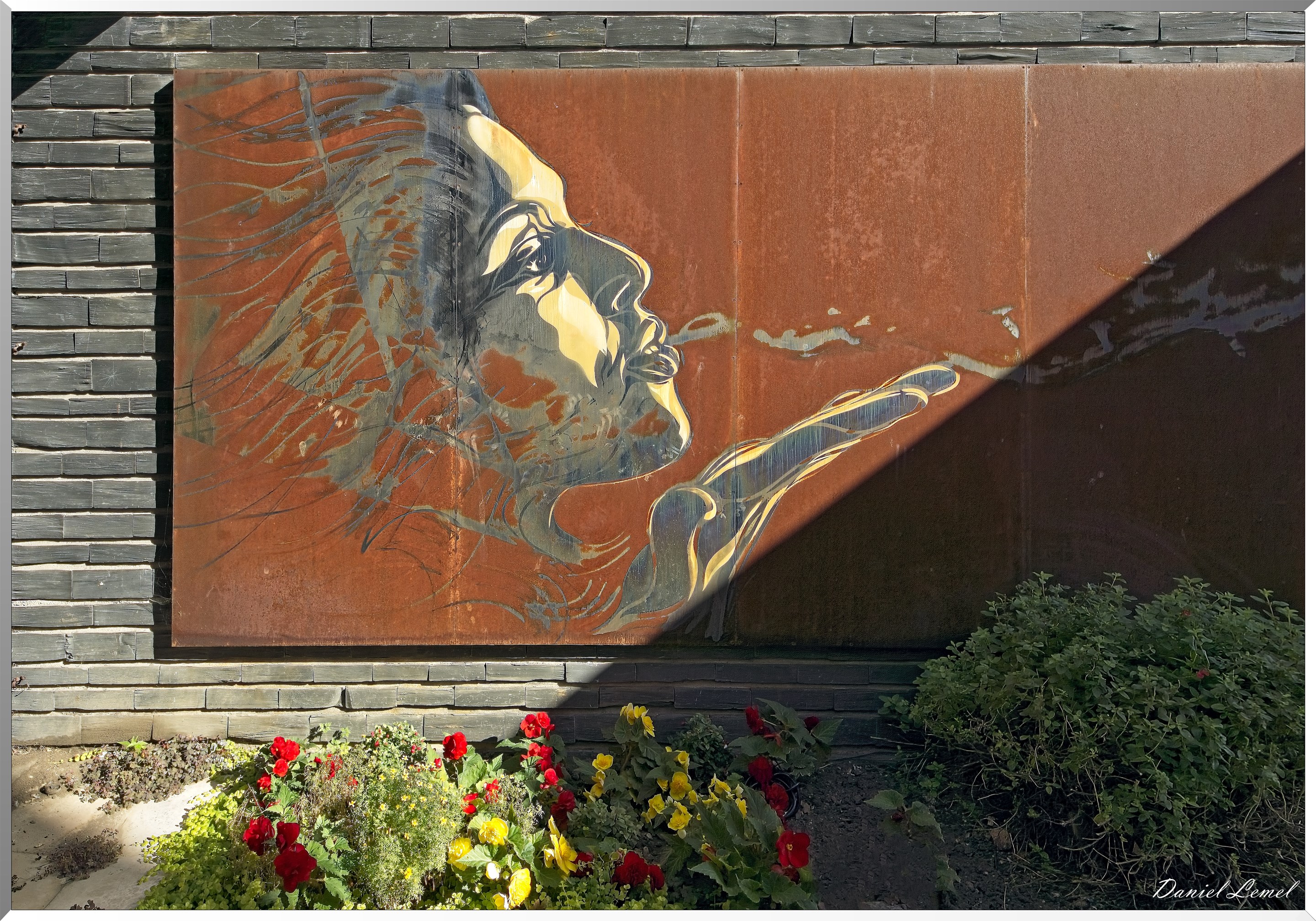 hôpital de la Pitié-Salpêtrière