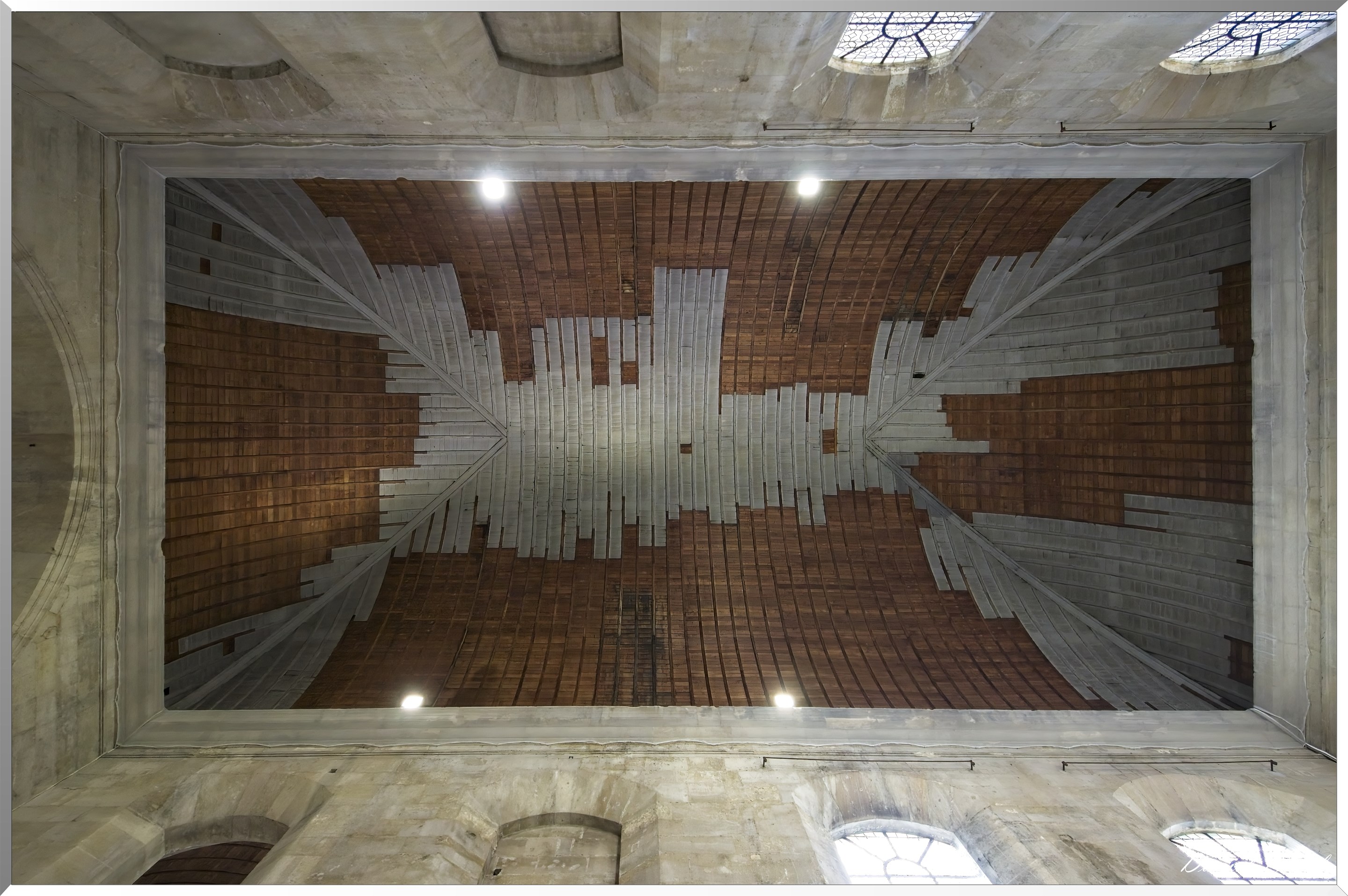 hôpital de la Pitié-Salpêtrière