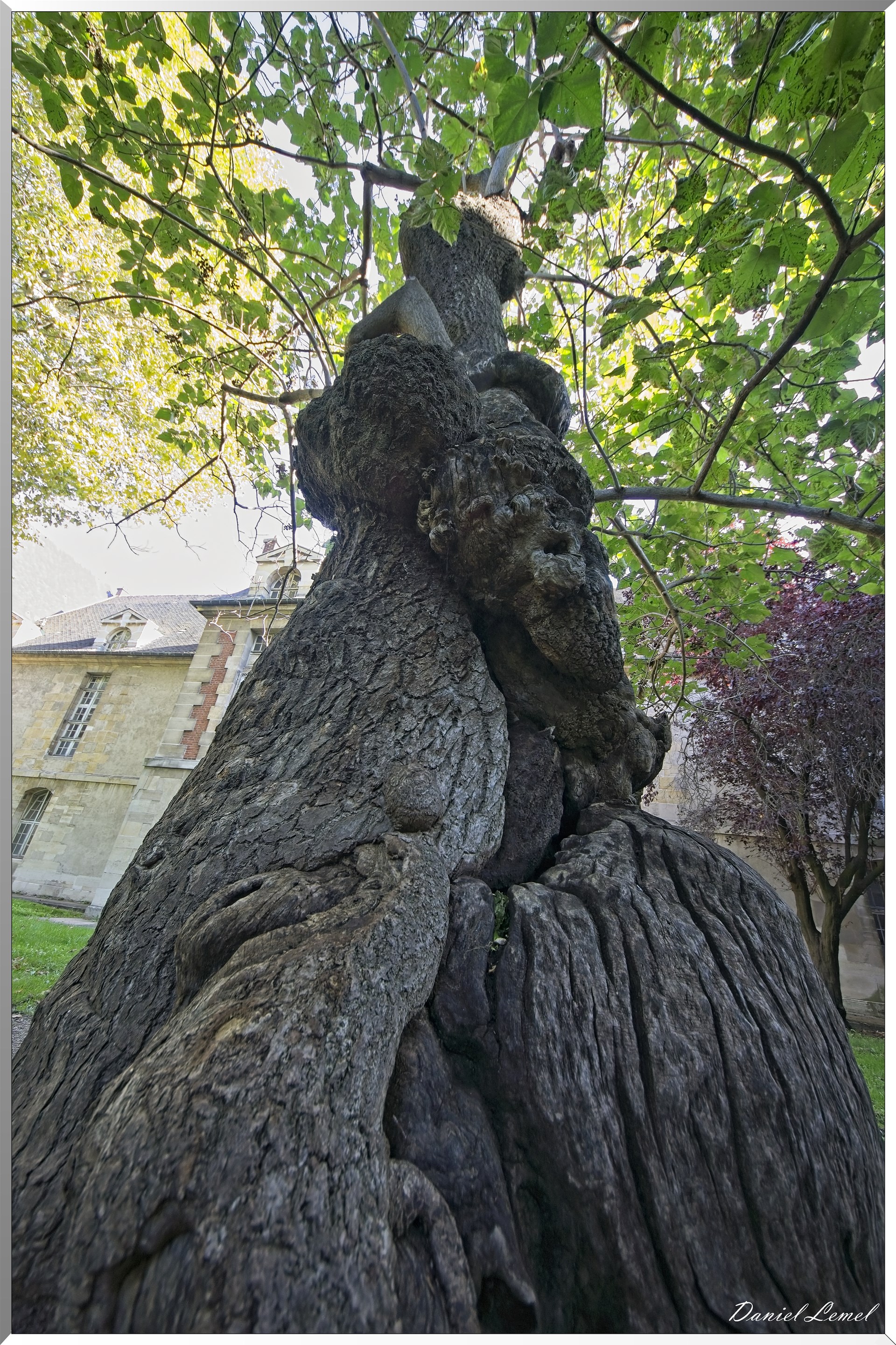 Hôpital  Saint-Louis
