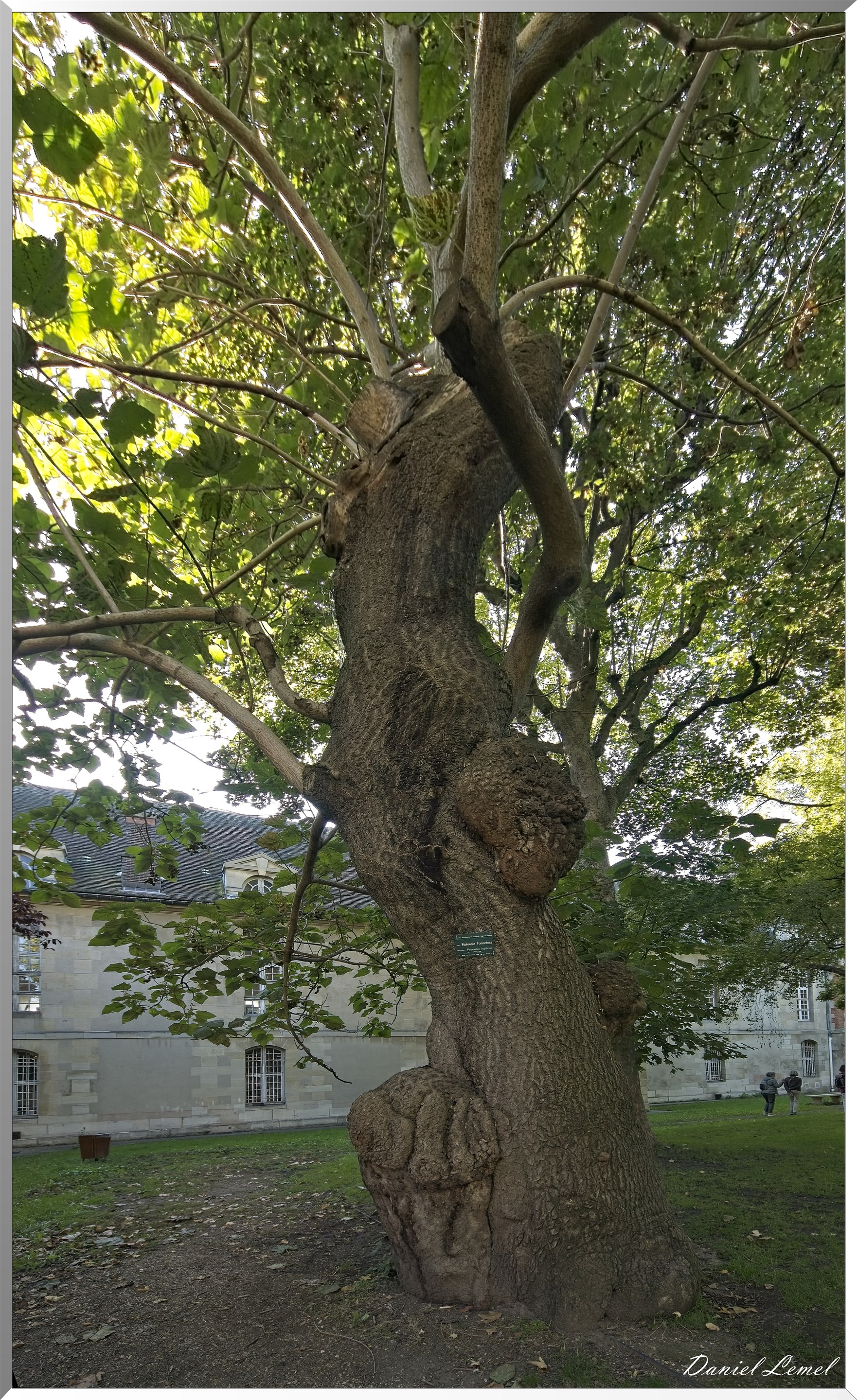 Hôpital  Saint-Louis
