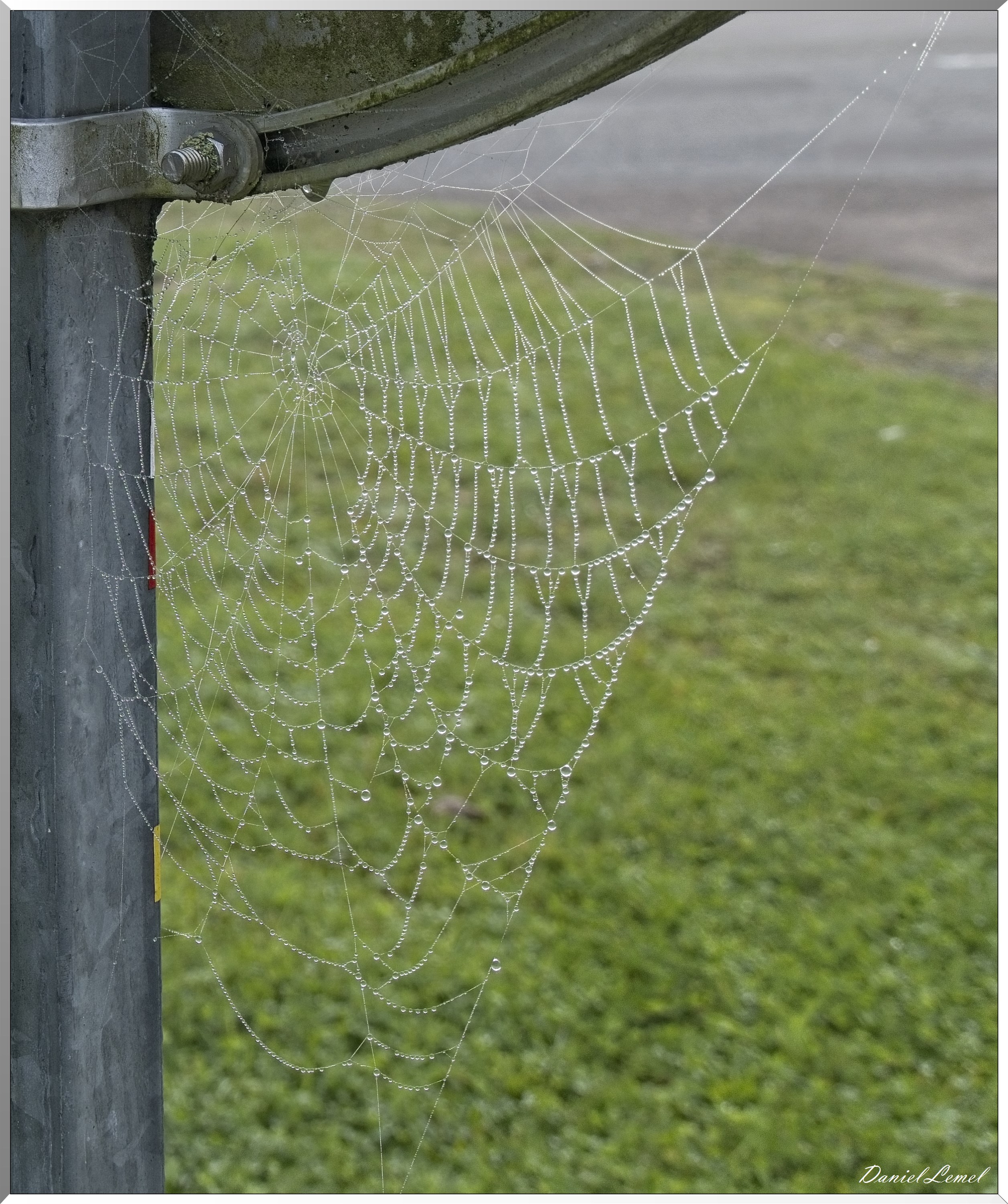 Ste-Geneviève-lès-Gasny