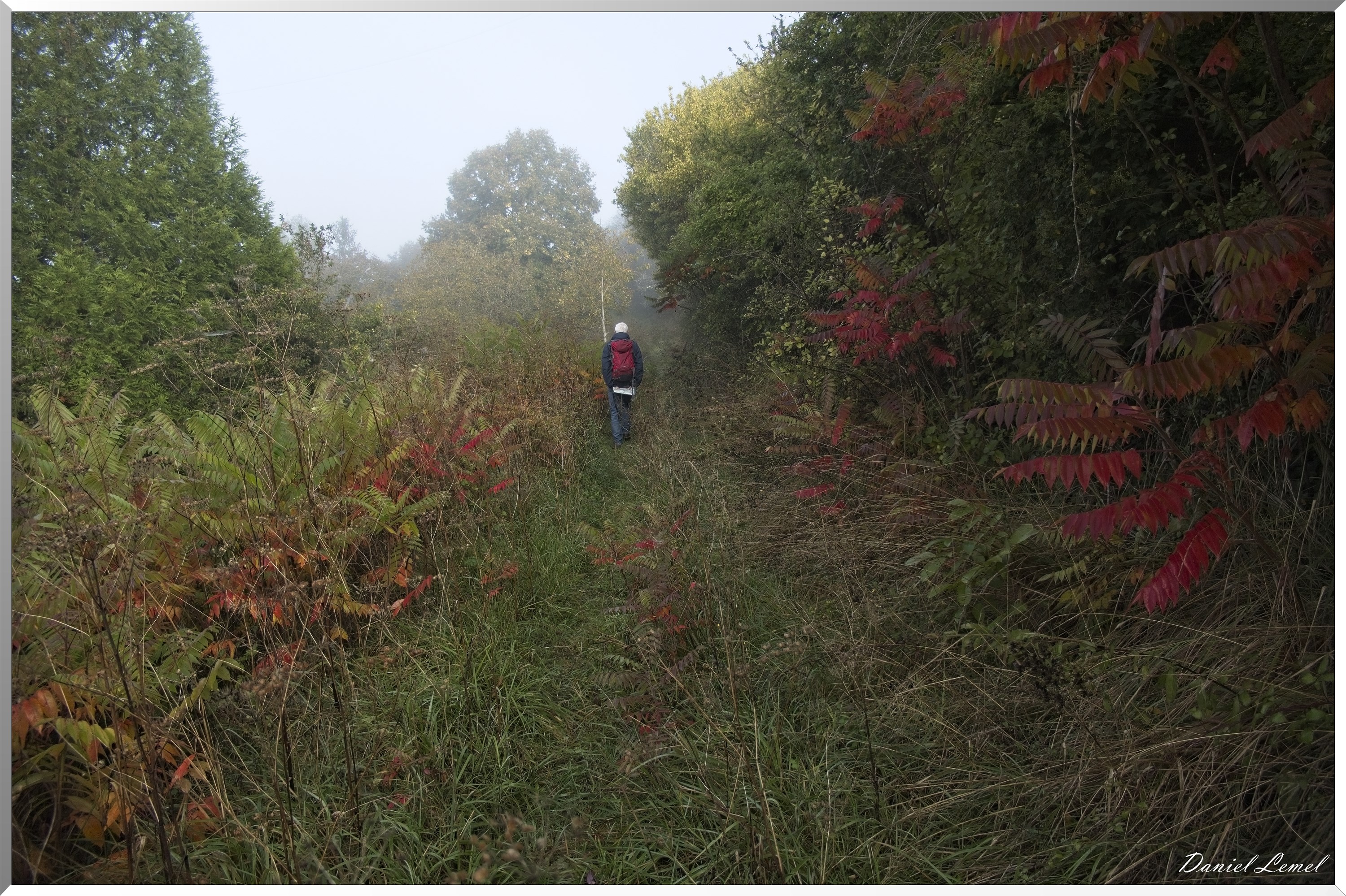 Ste-Geneviève-lès-Gasny
