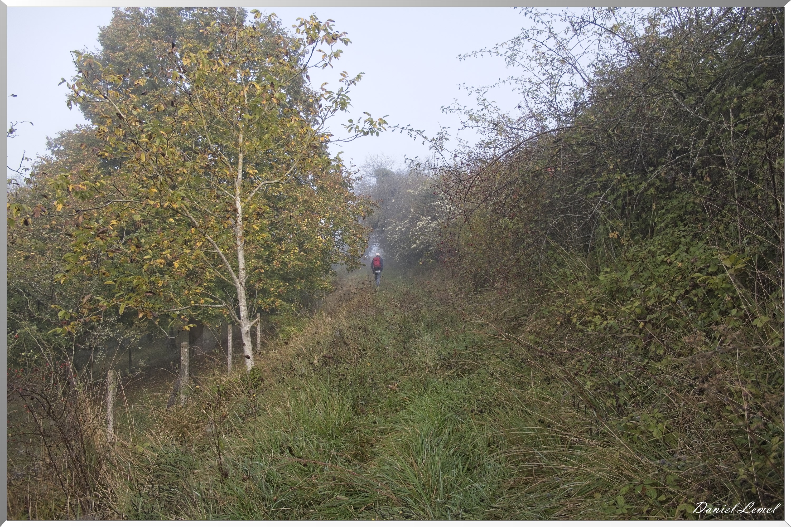 Ste-Geneviève-lès-Gasny