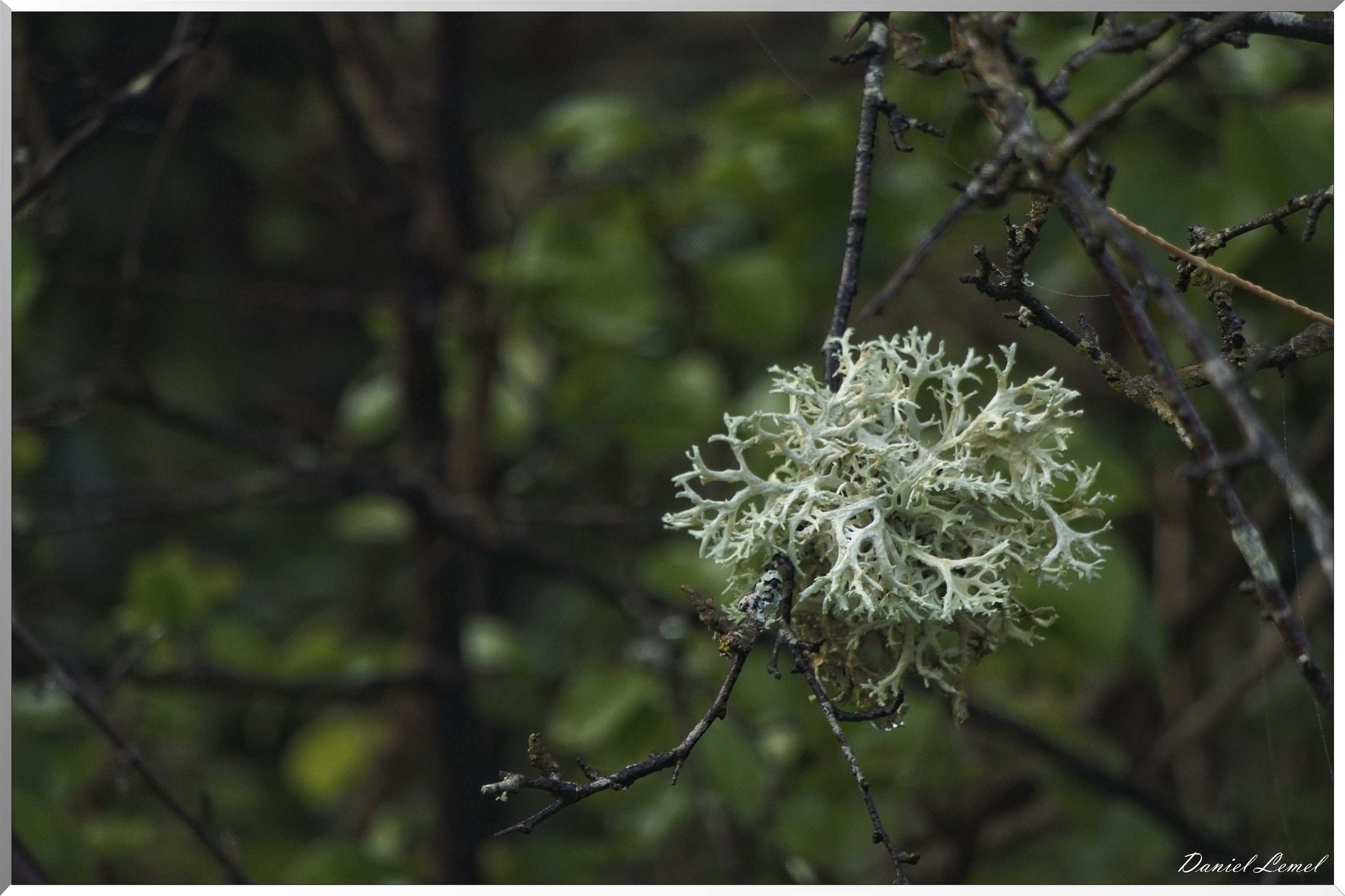 Ste-Geneviève-lès-Gasny